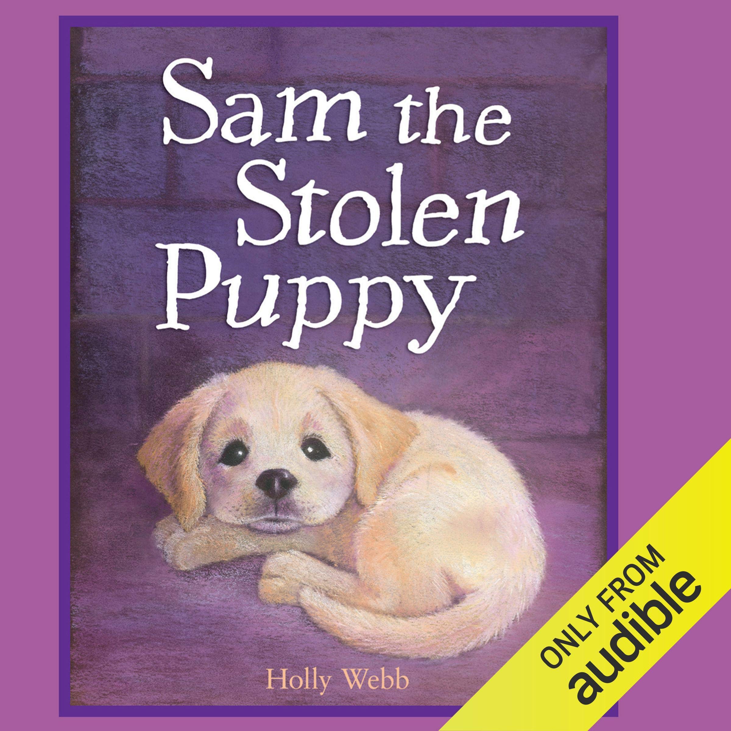 Cover art for Sam the Stolen Puppy