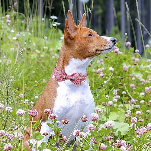 Miniatura 37 de Collar de perro con bandera estadounidense con pajarita, collar patriótico para perros pequeños, medianos y grandes, talla XS