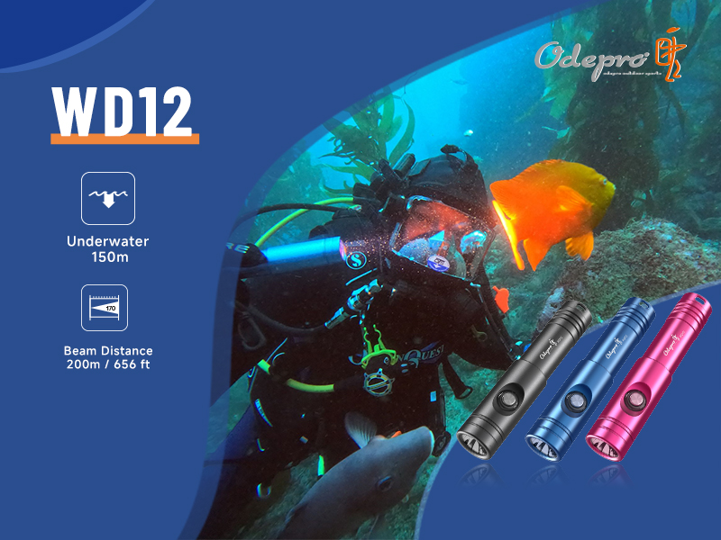 【人気商品】Odepro WD12 IPX8 Max 1050ルーメン ダイビン Amazon.co.jp: WD12 IPX8 Max 1050ルーメン ダイビングライト 水中