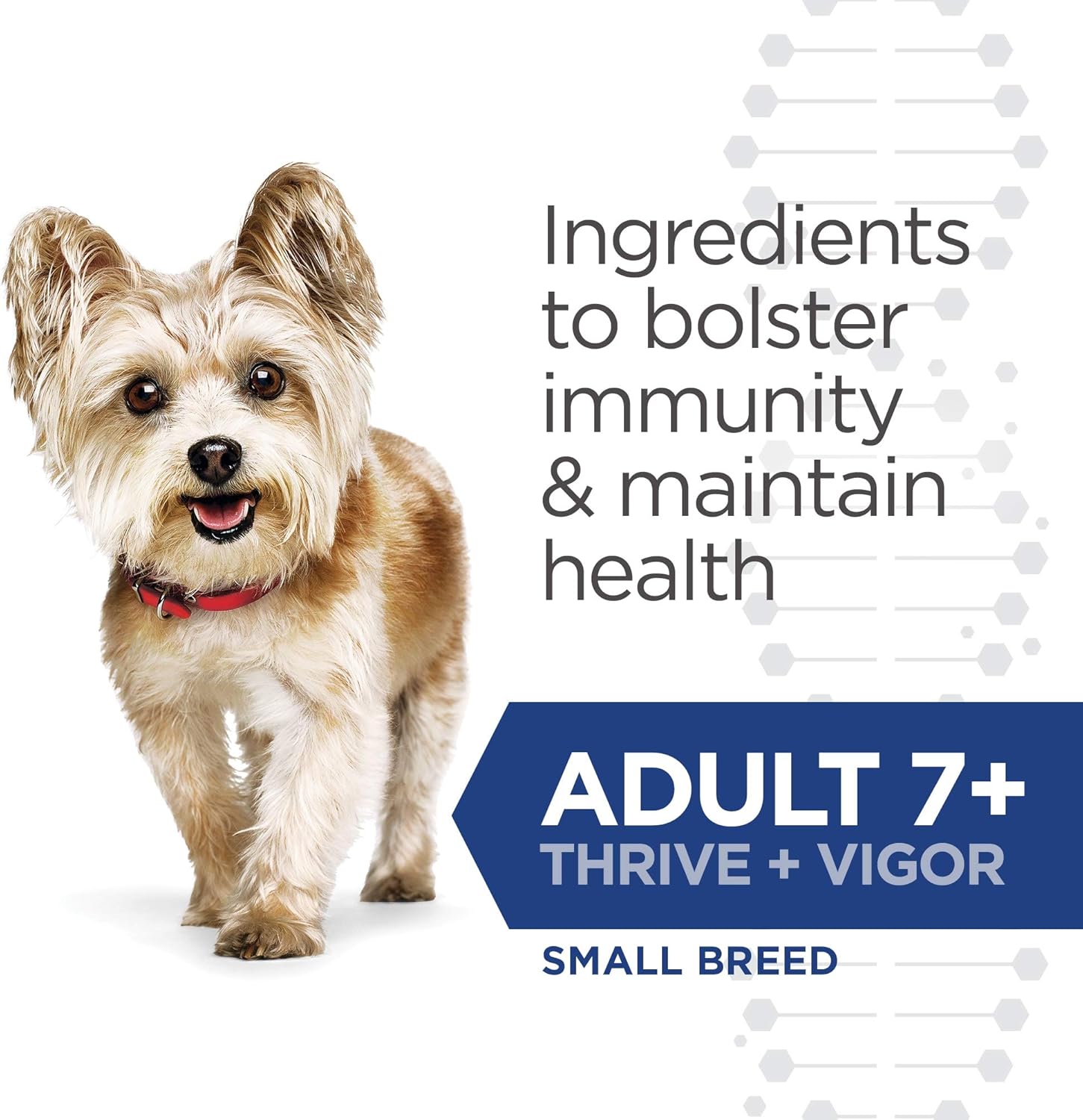 hills bioactive thrive and vigor