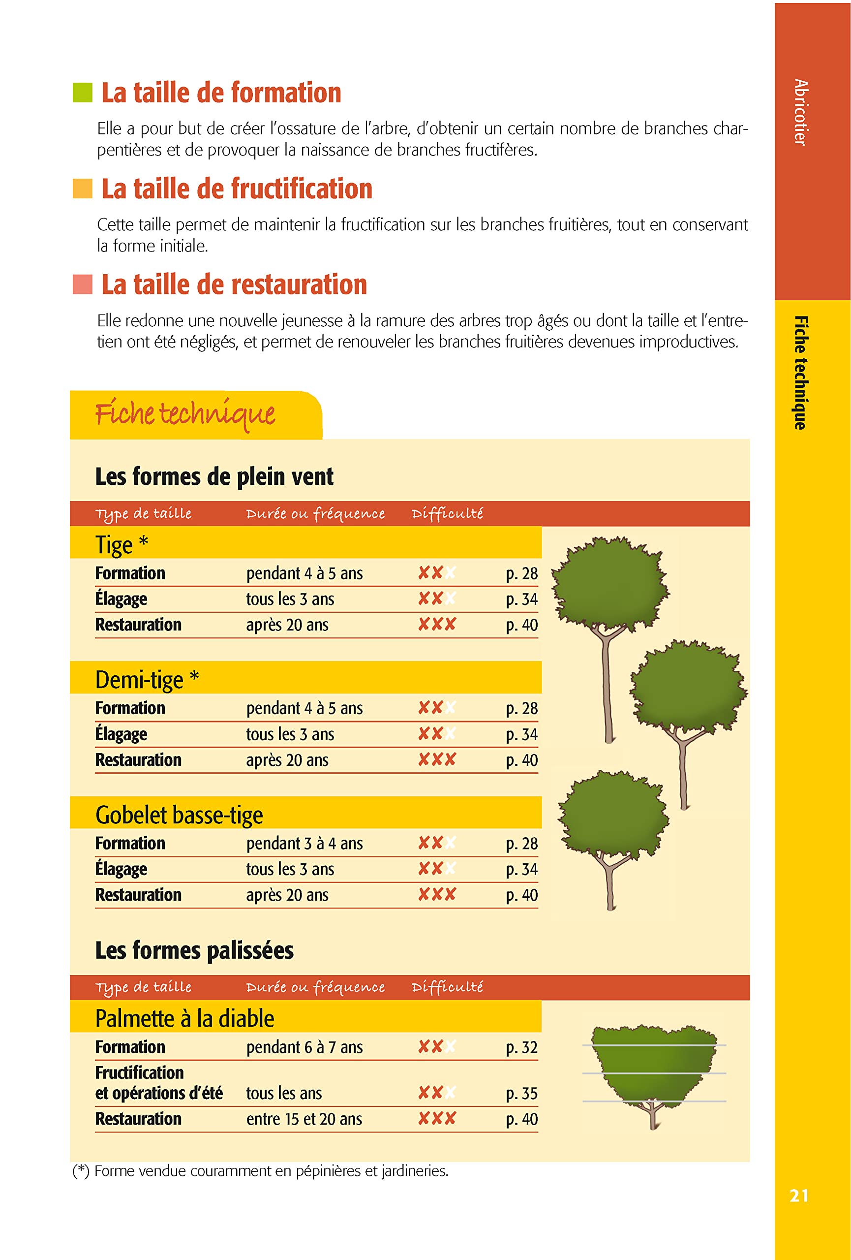 Taillez tous les arbres fruitiers