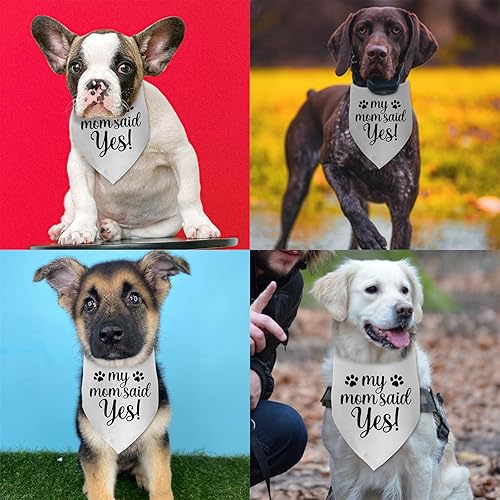 Miniatura 4 de My Mom Said Yes Dog Bandana Wedding Dog Bandana Dog Engagement Bandana Pet Dog Engagement Wedding Announcement Photo Props Accessories for Pet Dog