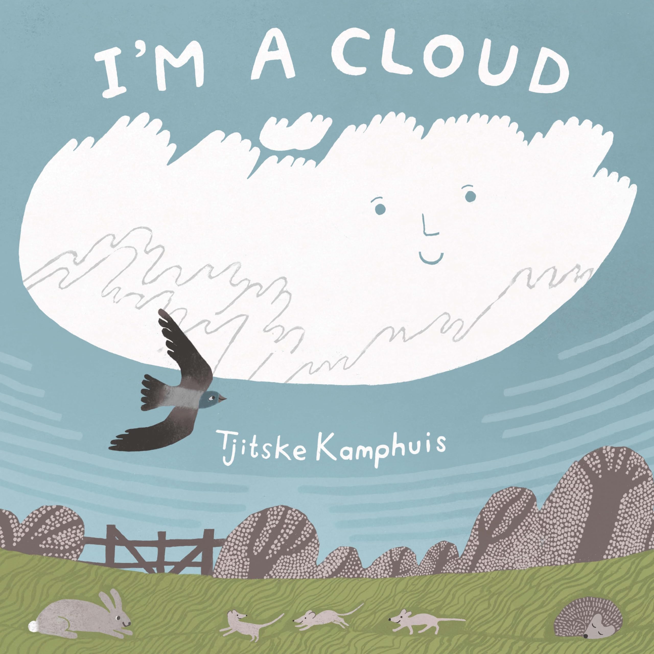 Im a Cloud HARDBACK 9781250360953