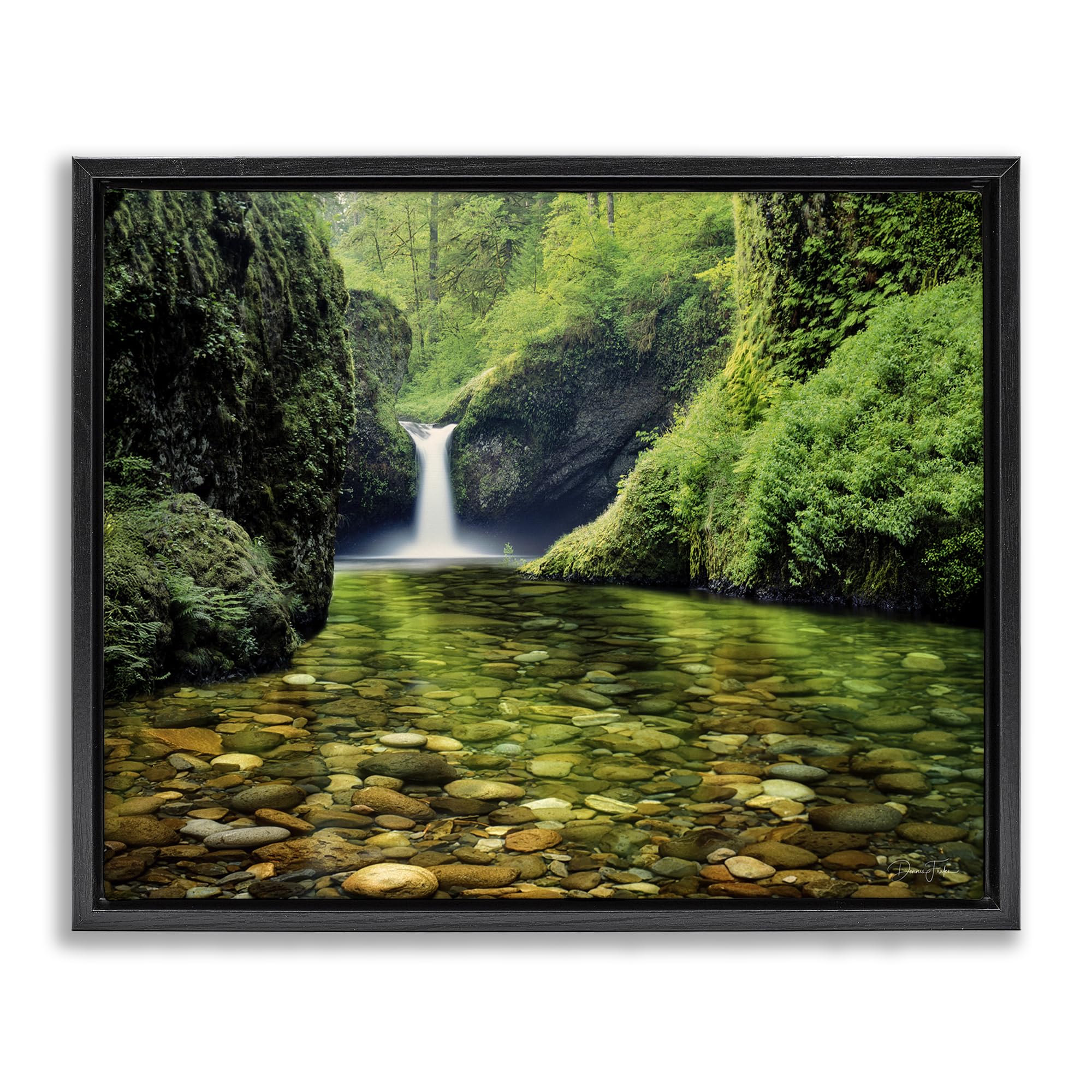 Stupell Industries Emerald Forest Waterfall Serenity 'Punchbowl Falls In Emerald Forest', Floating Frame Canvas Art, Black, 31 X 25 Inches, Easy To Hang And Sturdy, Made In Usa, By Dennis Frates