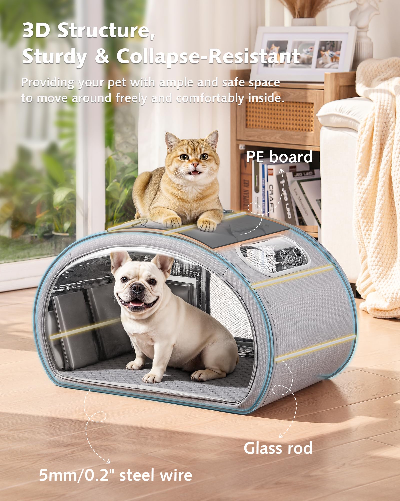 https://m.media-amazon.com/images/I/8132hR2w6XL.jpg