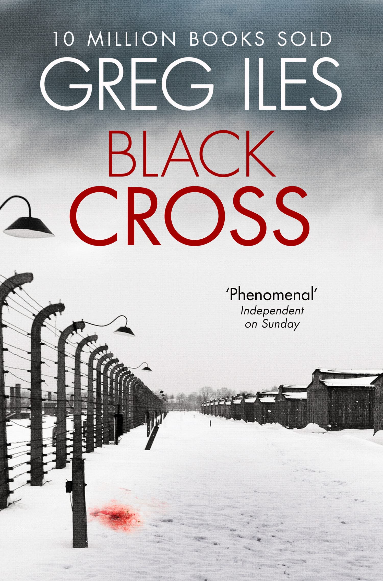Black Cross-Greg Iles, 9780007546091