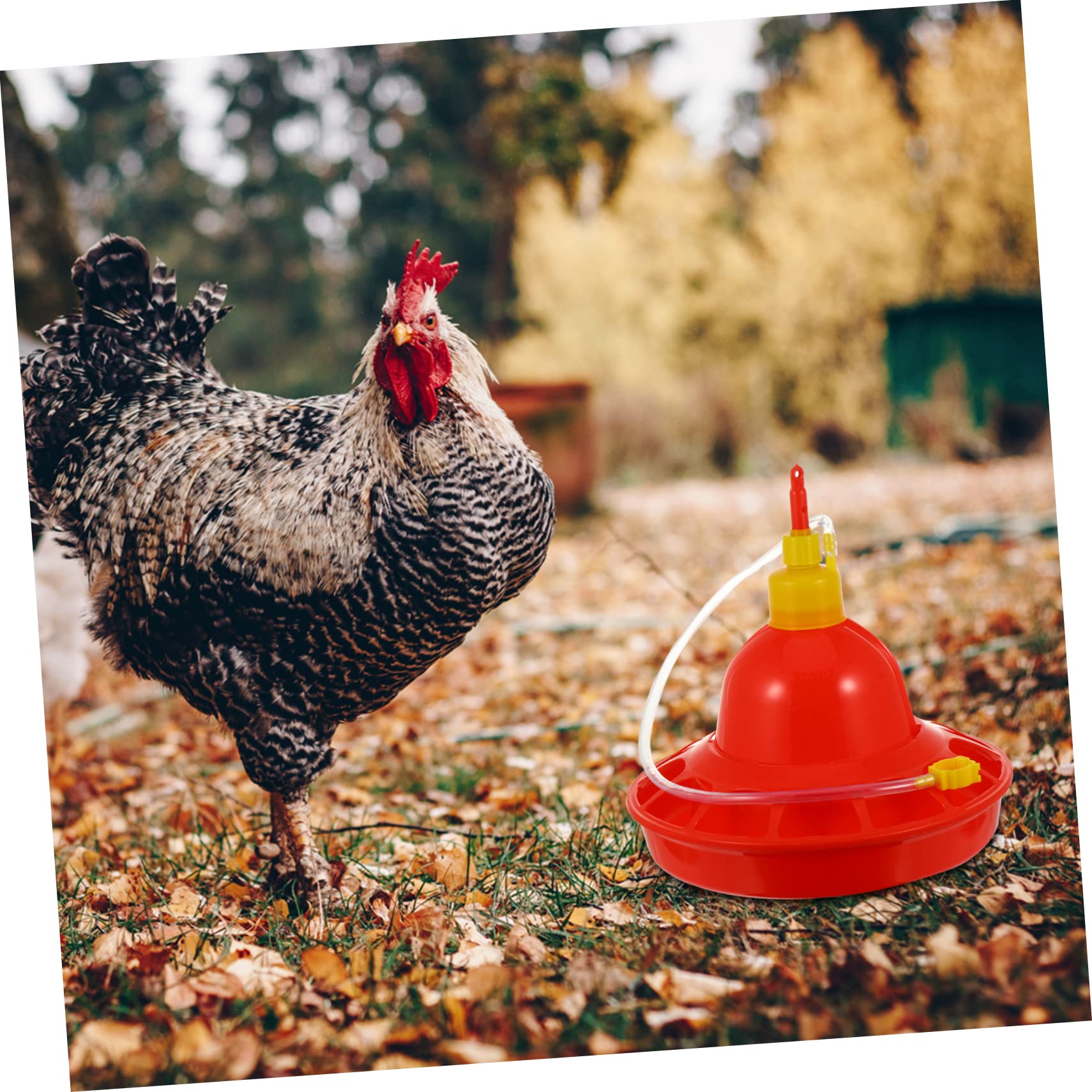 Comedero Automático para Pollitos De Granja Comedero para Agua Comedero para Pollitos