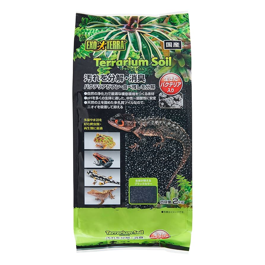 爬虫類・両生類のエサ M100 Amazon.co.jp: 日本の両生類・爬虫類 (自然観察シリーズ 22