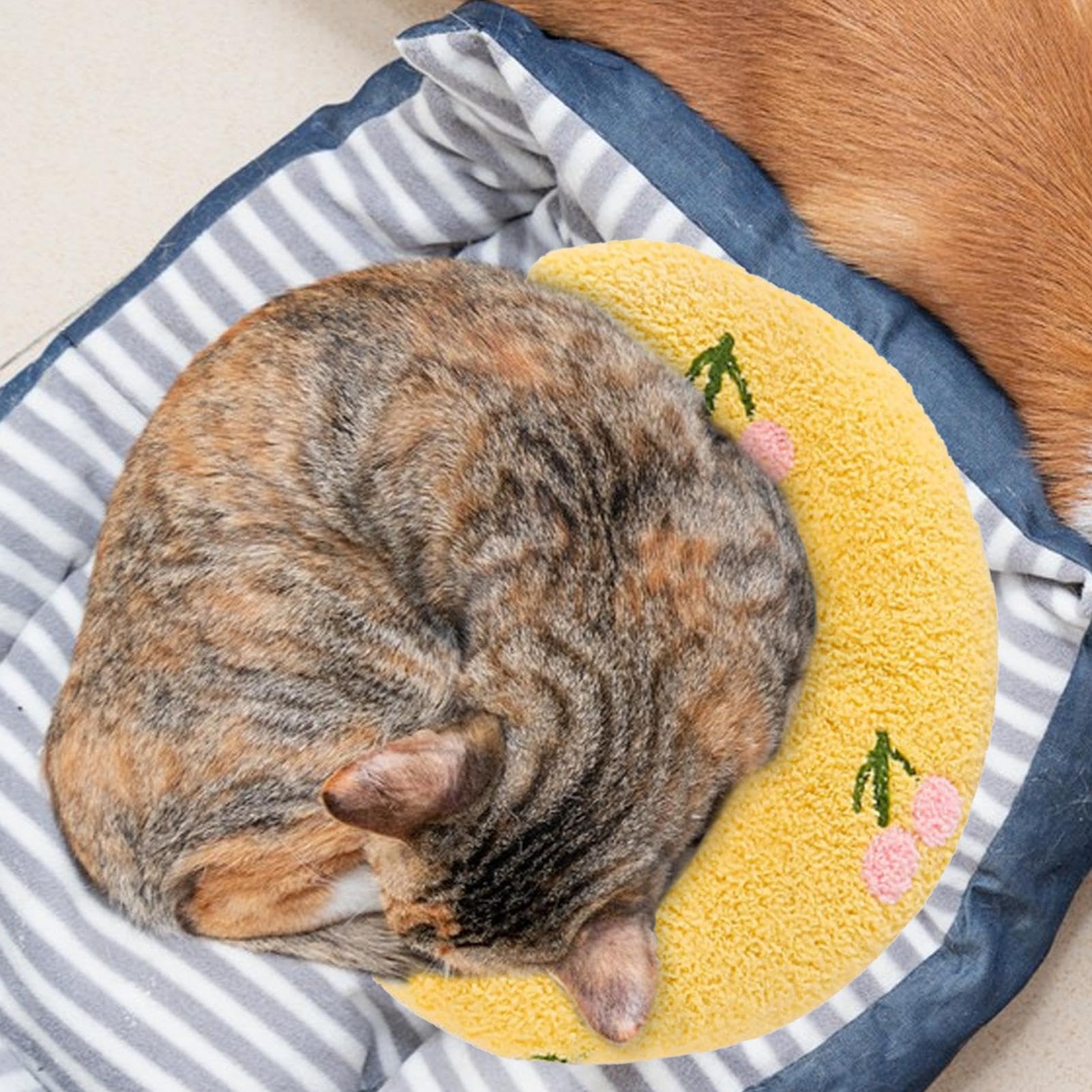 Kalmerend kussen voor honden, Kalmerend kussen voor honden, U-vorm Ultrazacht kalmerend kussen, Halve donut knuffel voor kat en hond, dierbenodigdheden, hondenkussen voor de bovenste Zankie