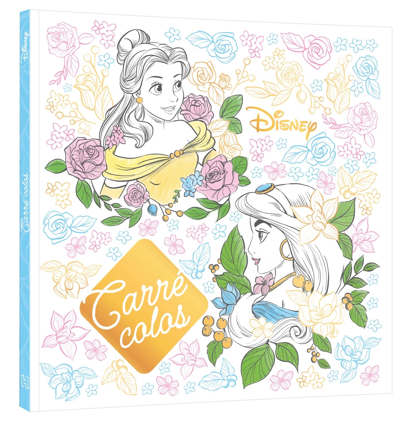 DISNEY - Carré Colos