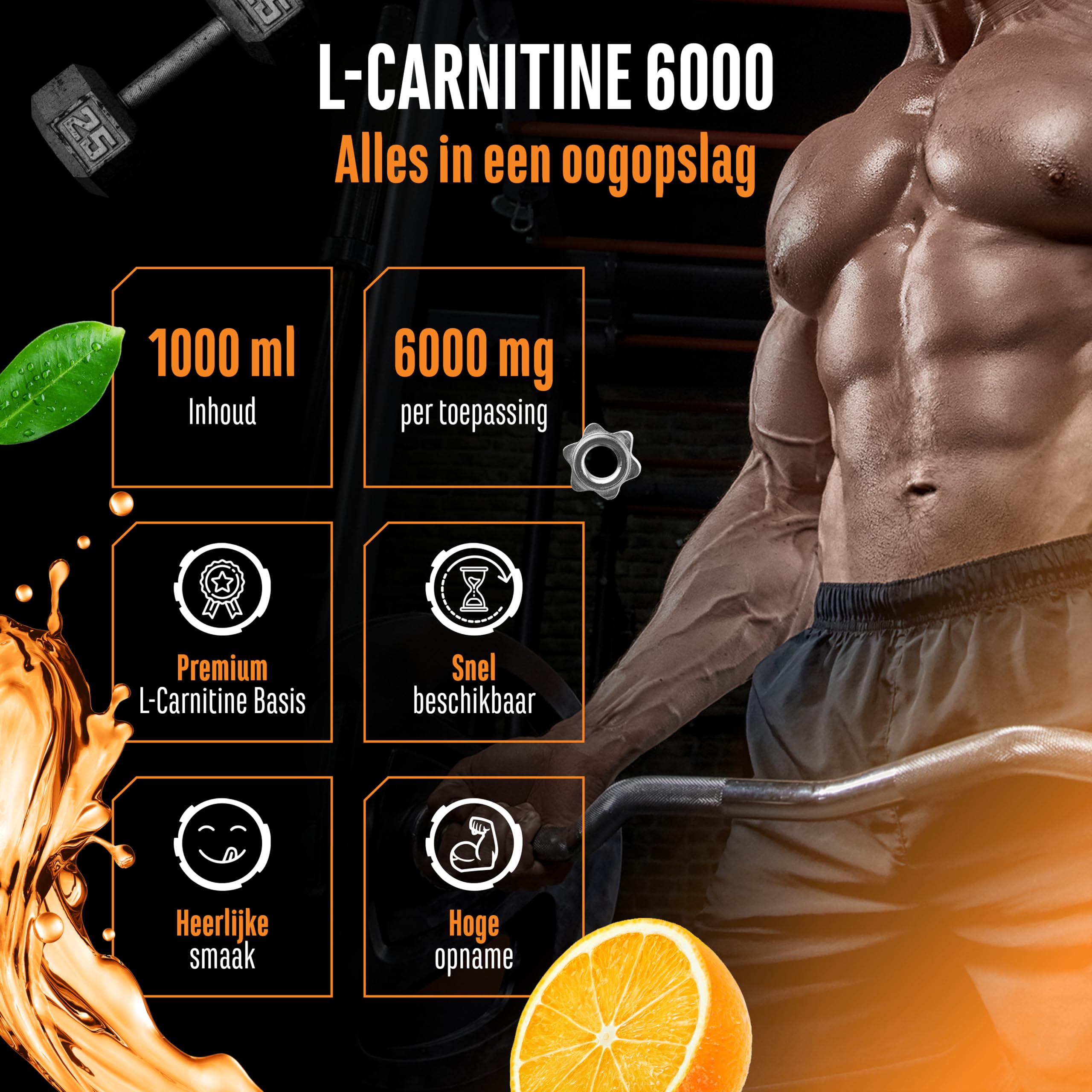 L-Carnitine 6000 Liquid - 1000 ml - Extra High Dose with 6000 mg Pure L- Carnitine per Daily Dose - Amino Workout Drink - Taste (Orange Power) - Vegan : Amazon.nl: Health & Personal Care L-Carnitine 6000 Liquid - 1000 ml - Extra High Dose with 6000 mg Pure L- Carnitine per Daily Dose - Amino Workout Drink - Taste (Orange Power) - Vegan : Amazon.nl: Health & Personal Care