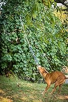 Vista 7 de YES4QUALITY Poste de coqueteo para perros, 2 postes de resorte duraderos con cuerda fuerte para perros, poste de señuelo resistente para perros