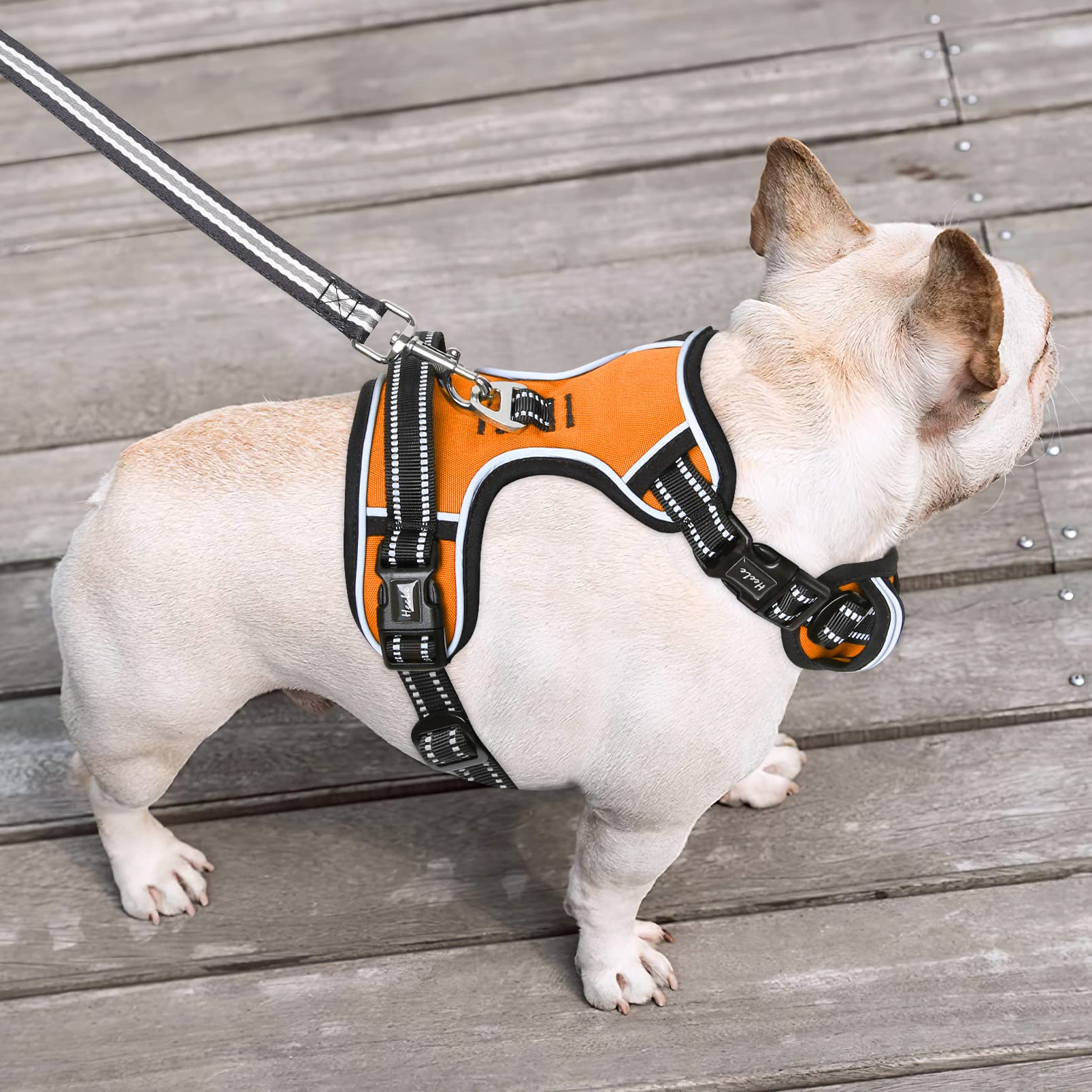 HEELE Pettorina Cane, Imbracatura Sganciata Rapido dal Collo, Pettorina Anti-tiro Riflettente e Regolabile con Maniglia Comoda, Morbida e Imbottita per Cani Piccola Media Grande, Arancione M