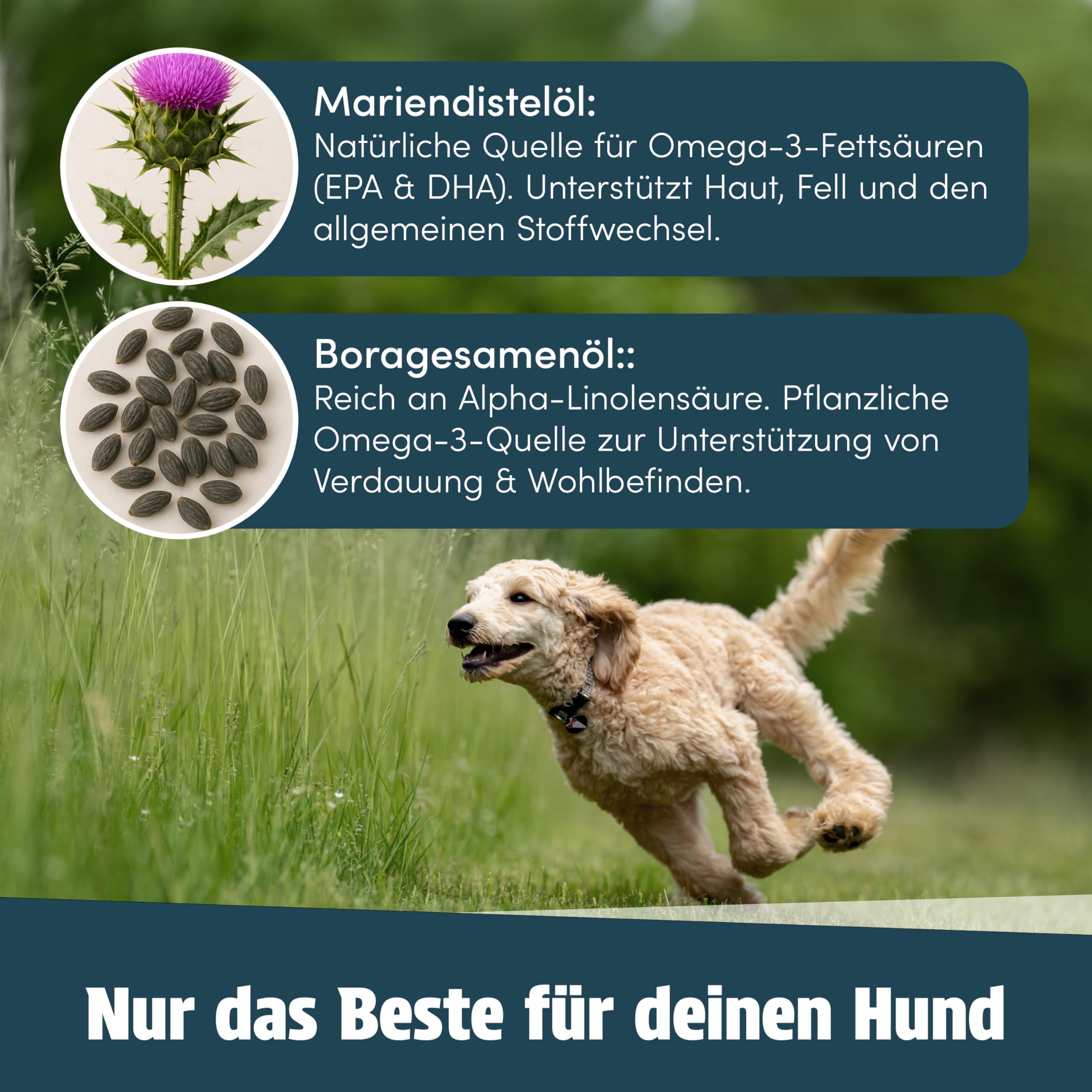 Barf Öl für Hunde (1 Liter) – Reich an Omega 3-6-9 Öl aus Lachsöl, Leinöl, Hanfsamenöl, Borretschöl & Mariendistelöl – Hochwertiges Futteröl & Barf-Zusatz – Auch als Topping geeignet