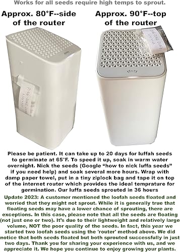 Miniatura 7 de HipGirl Semillas de calabaza asiática de cera para plantar verduras y frutas (). Semillas de verduras en casa huerto y vainas de semillas