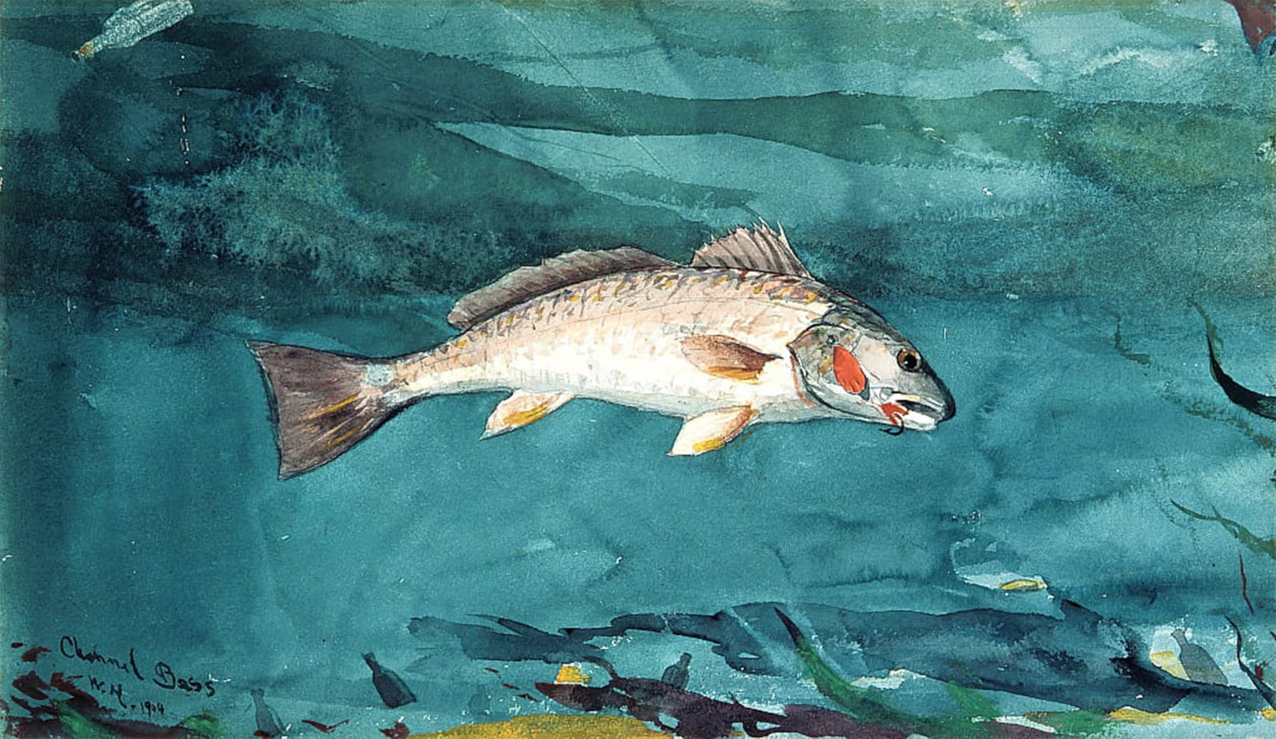 ARTXLXXBN Famous Art Print Poster Vintage Wall Art Channels Bass by Winslow Homer Canvas Art Poster for Home Decor 60x90cm