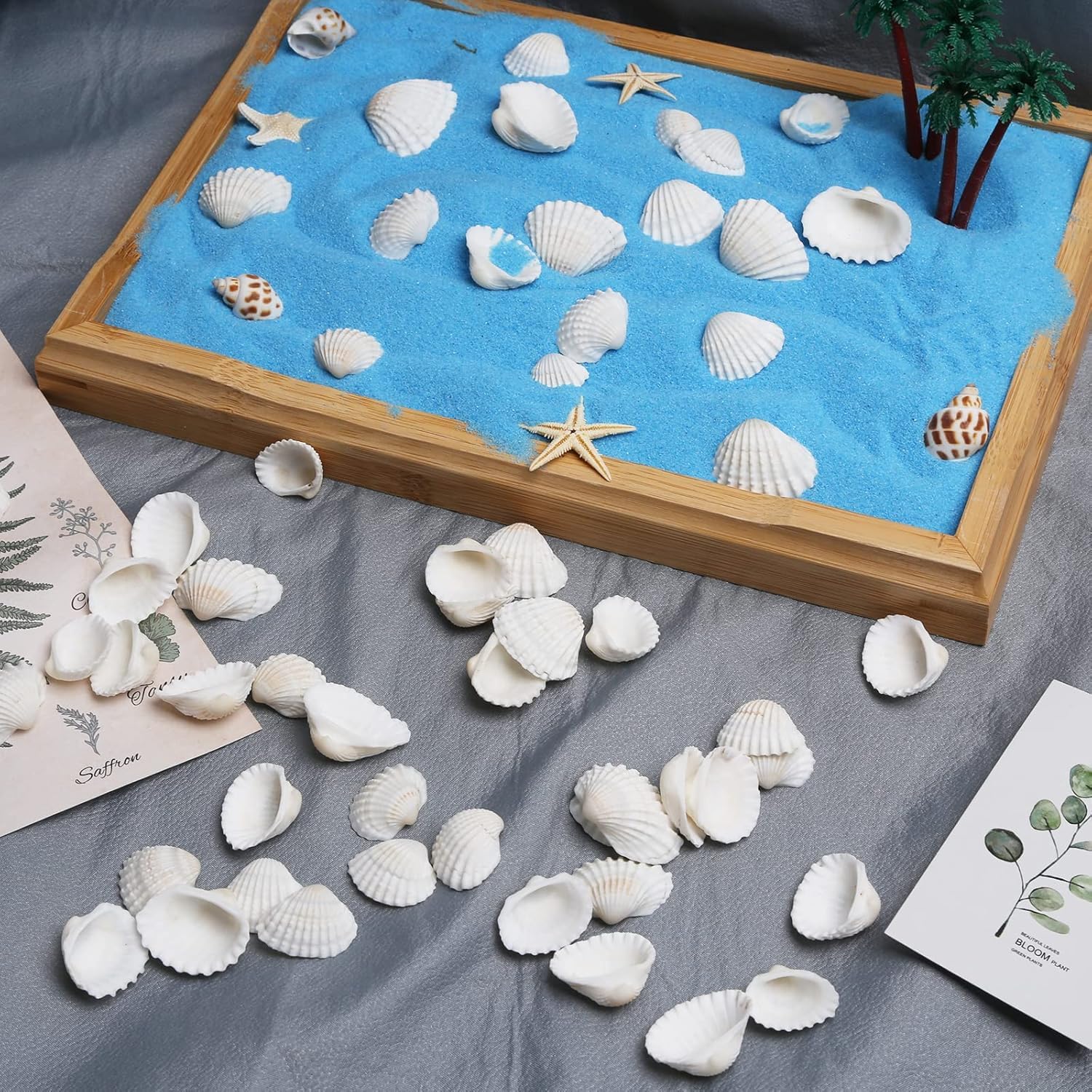 80 Conchiglie Marine Miste Naturali: Colorate Per Decorazioni Fai Da Te, Matrimoni E Festa