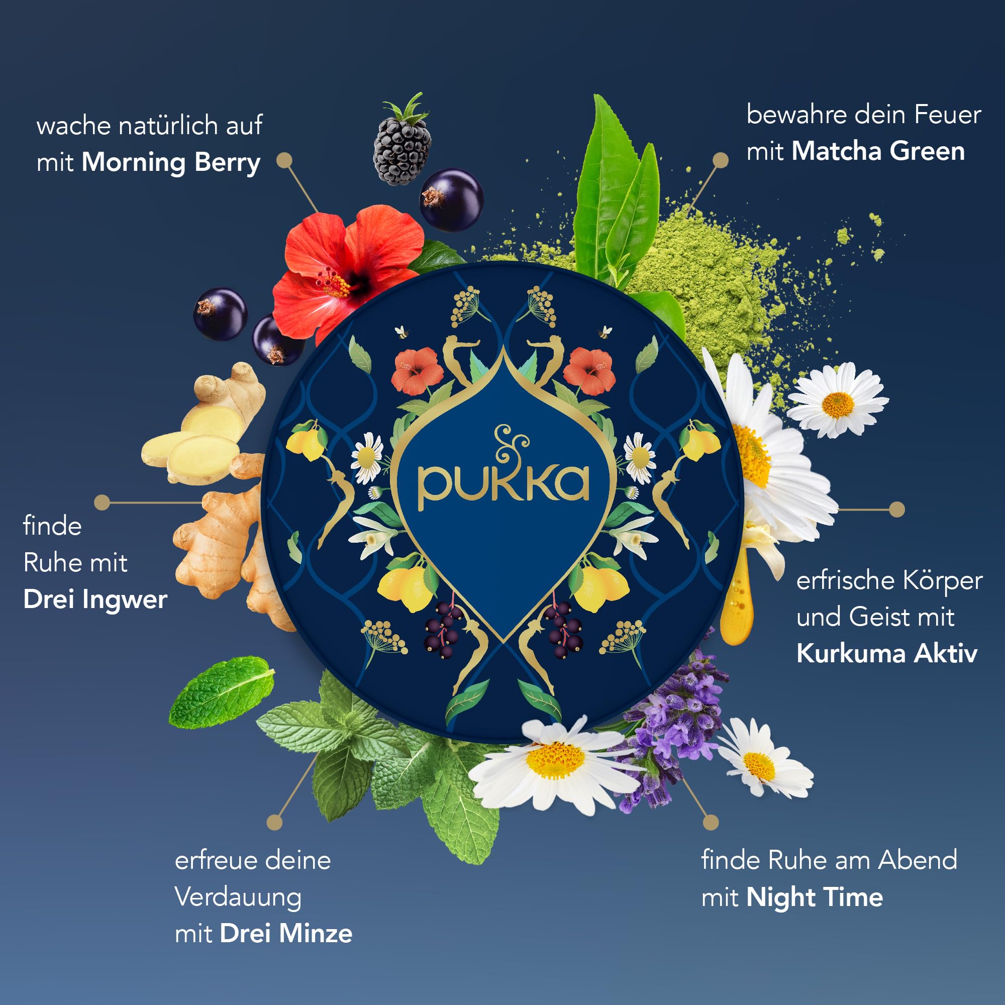 Pukka Bio Tee Geschenkset, 90 Teebeutel, Premium Selection Tee Box für den ganzen Tag, für Küche, Büro & Gastronomie, Tee Set, Geschenkidee, 6 Varianten