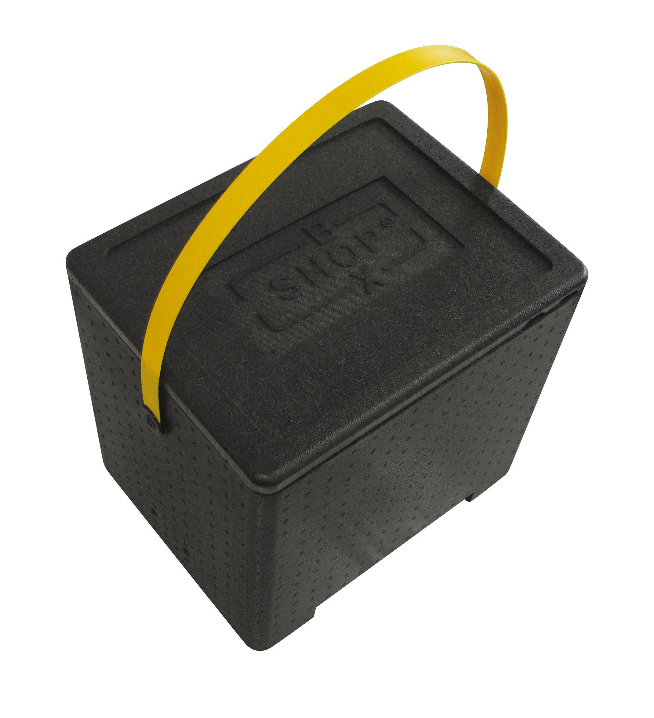 Paderno Contenitore Boxshop Lt 31,2 PPE Isotermico Cm 41,5x32x40