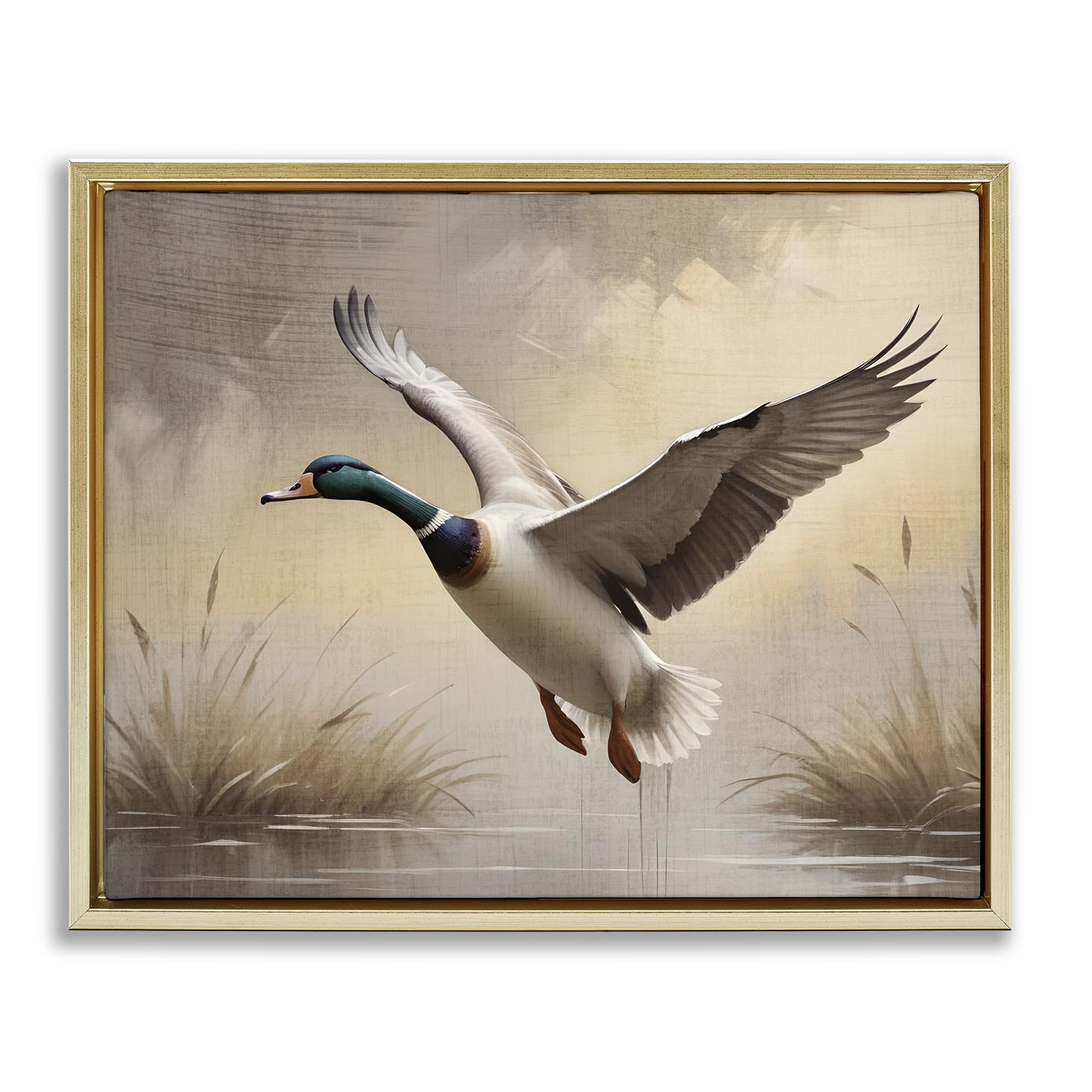 Stupell Industries 'Gliding Mallard over Wetlands', Floating Frame Canvas Art, Gold, 21 x 17 Inches, Easy to Hang and Sturdy, Made in USA, by Susan Arnot