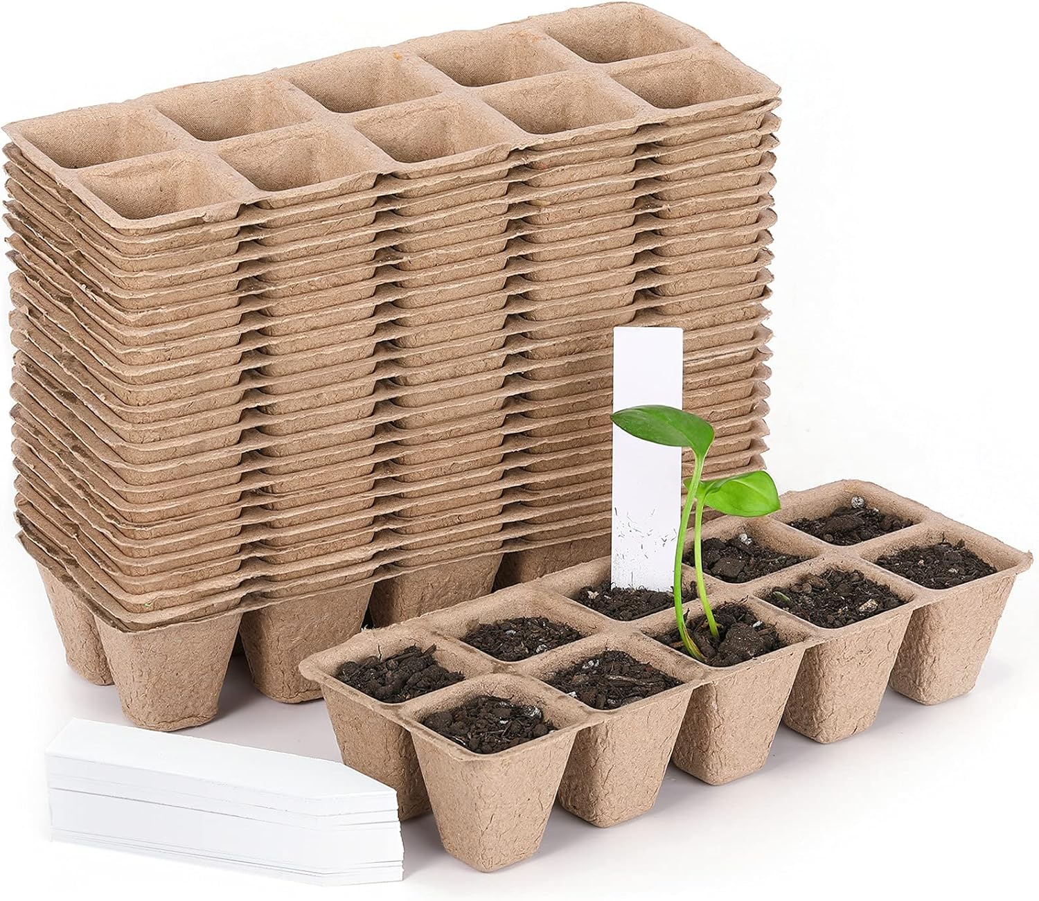 Seed Starter Peat Pots 10 Cells Seedling Pots Germination Trays Organic Germination Plant