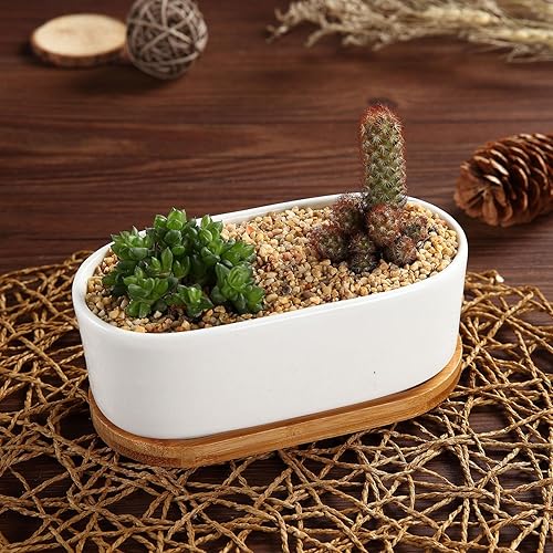 Miniatura 3 de T4U Macetas pequeñas blancas para suculentas con bandeja de bambú, contenedor ovalado para plantas de cactus para decoración de mesa de oficina en