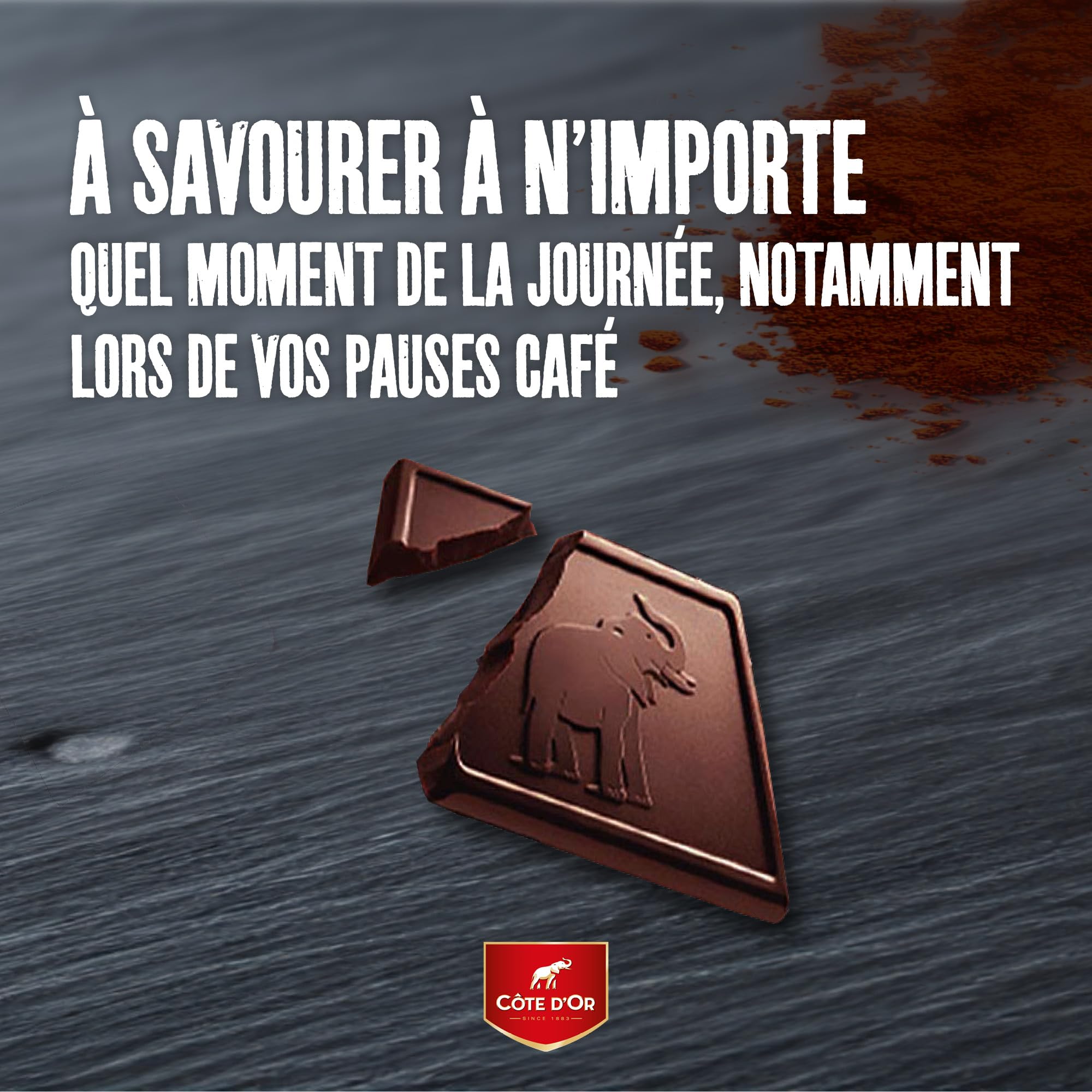Côte d'Or Mignonnette Noir de Noir - Carton de 120 x 10 g - 1,2 kg
