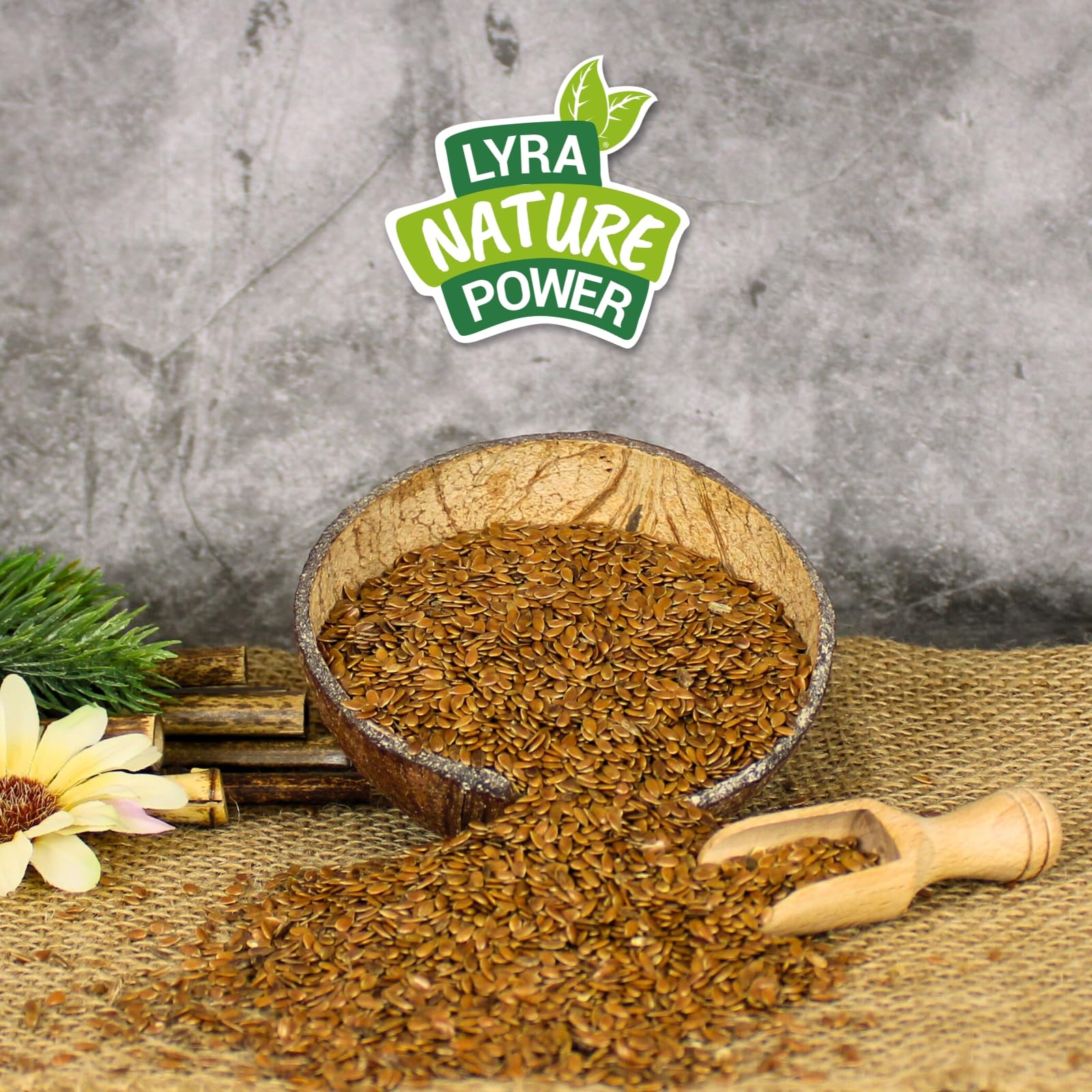 Lyra Pet® 25 kg graines de lin complément alimentaire pour oiseaux sauvages petits rongeurs riche en oméga-3 fibres protéines