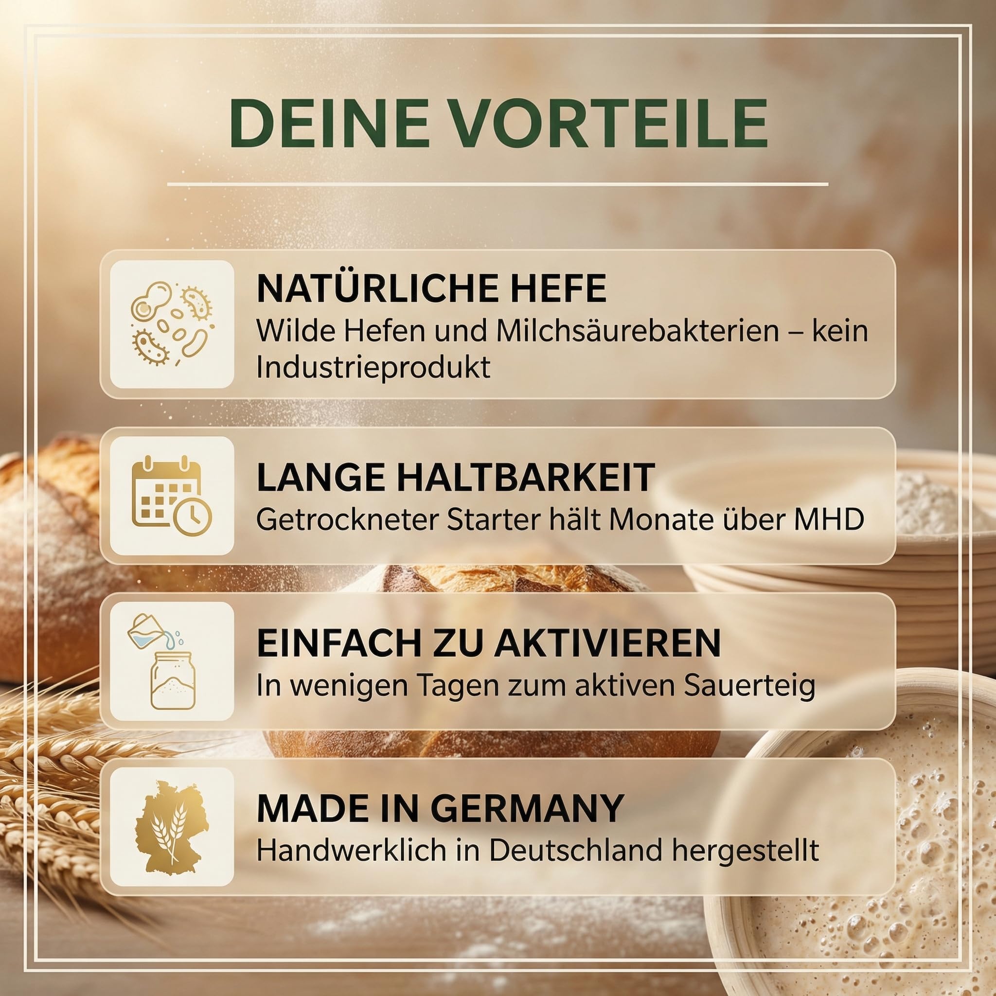 HeldenPilz | Masa agria orgánica fresca | Set para hornear pan + regalo | hacer pan crujiente tú mismo, incluye instrucciones y recetas, ingredientes 100% naturales (centeno para iniciar la levadura