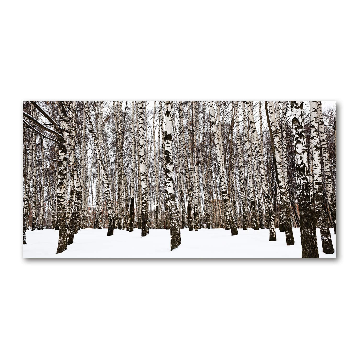 Tableau en verre acrylique 120x60 Tulup déco murale moderne paysage bouleaux d'hiver