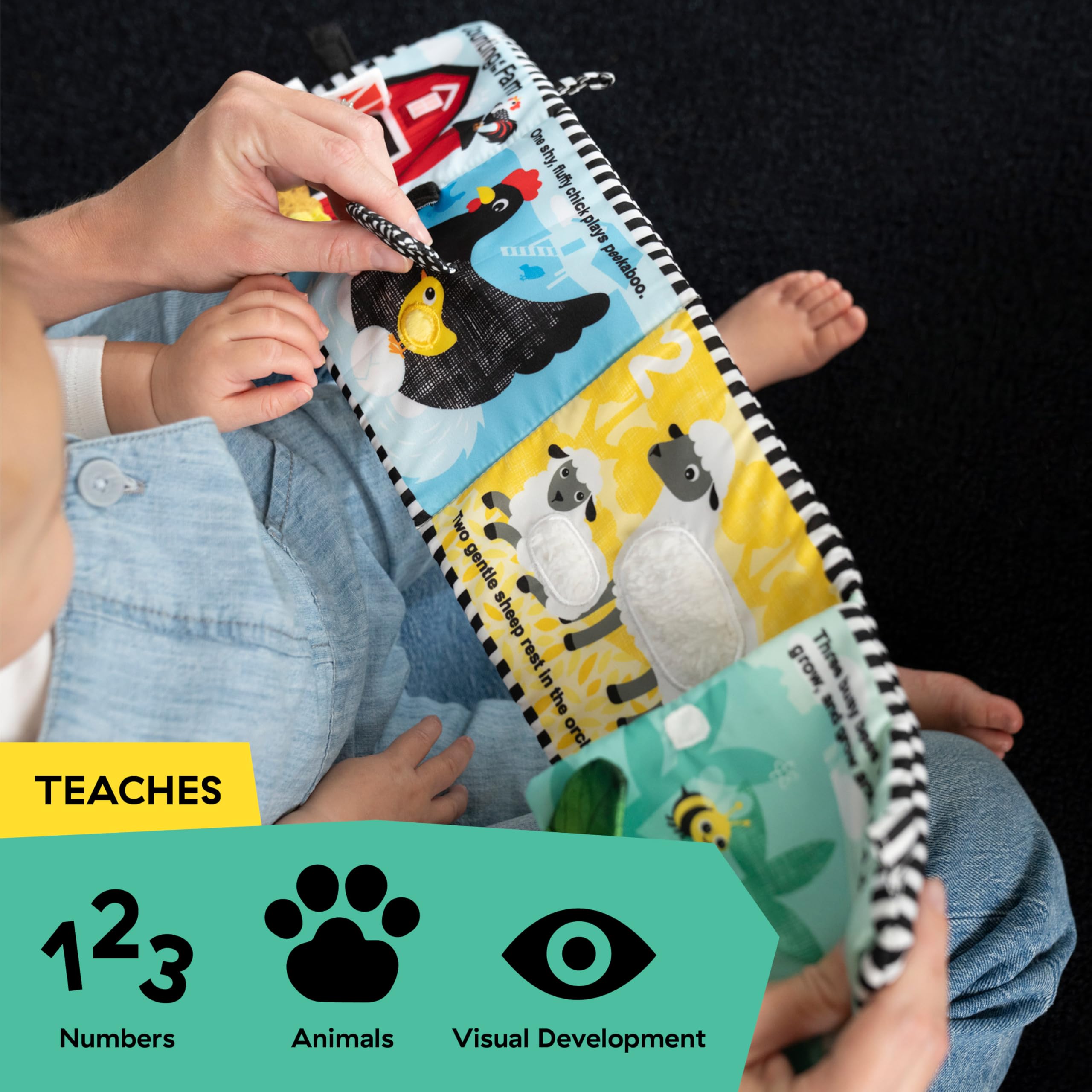 Amazon.com: Baby Einstein Farm Explorers Counting at the Farm Soft