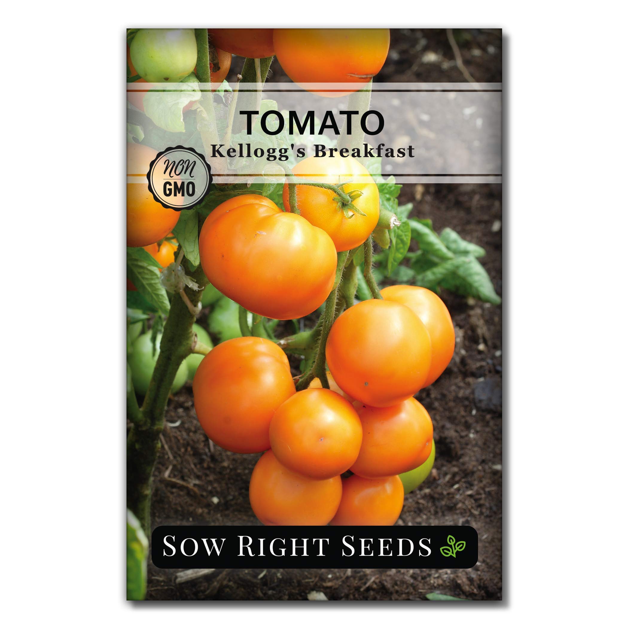 Sow Right Seeds - Kellogg’s Breakfast Tomato Seeds for Planting - Non-GMO Heirloom Packet with Instructions to Plant a Home Vegetable Garden - Beefsteak Slicer with Orange-Yellow Skin - Mild Taste (1)