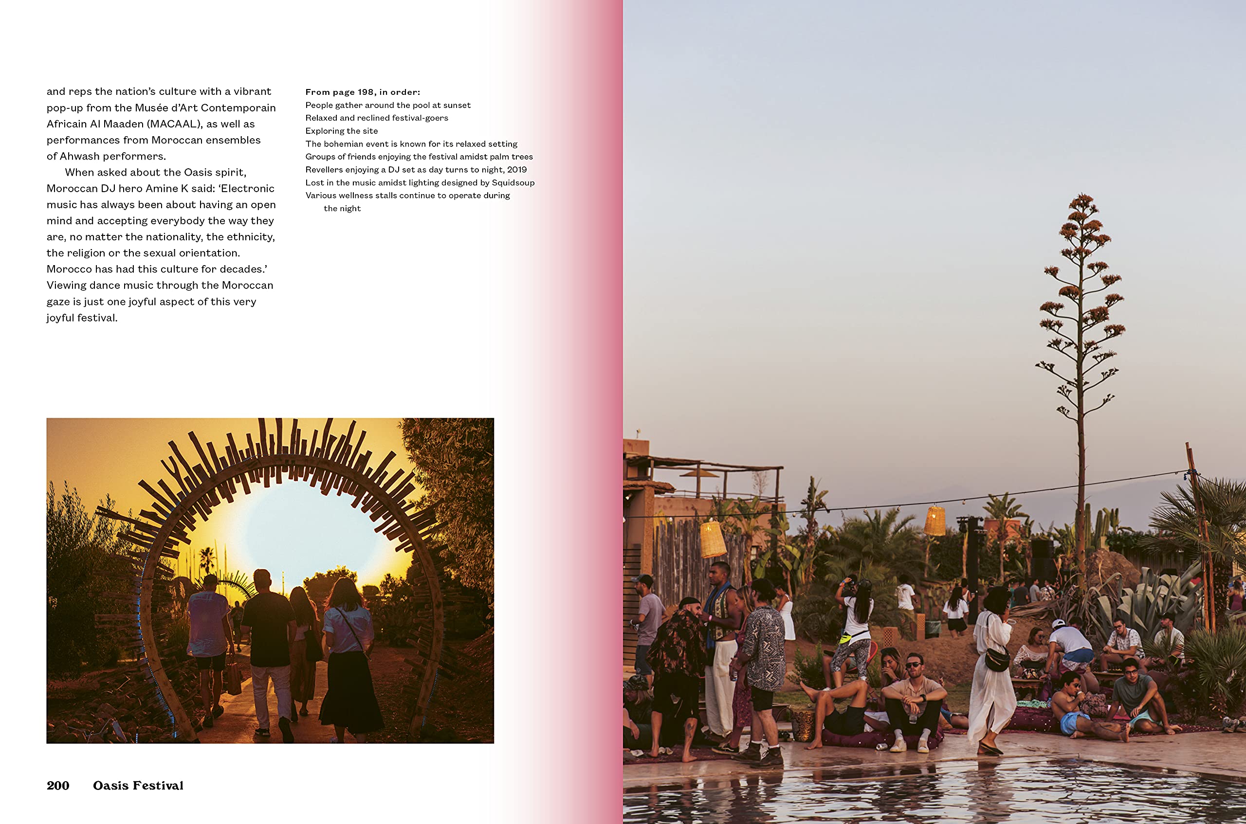 Festivals: A Music Lover's Guide to the Festivals You Need To Know