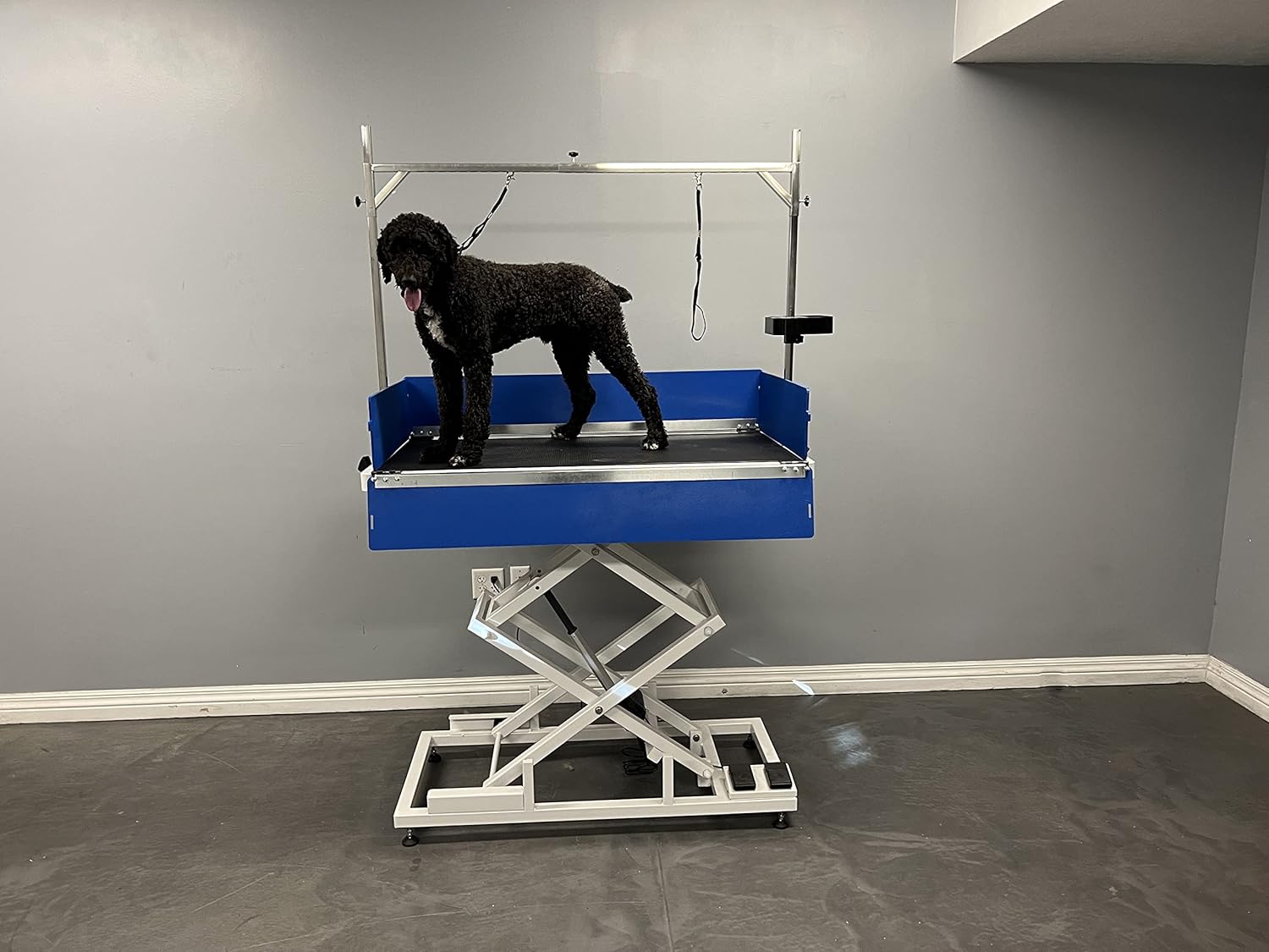 Elevation 48 Grooming Table (Complete Package)