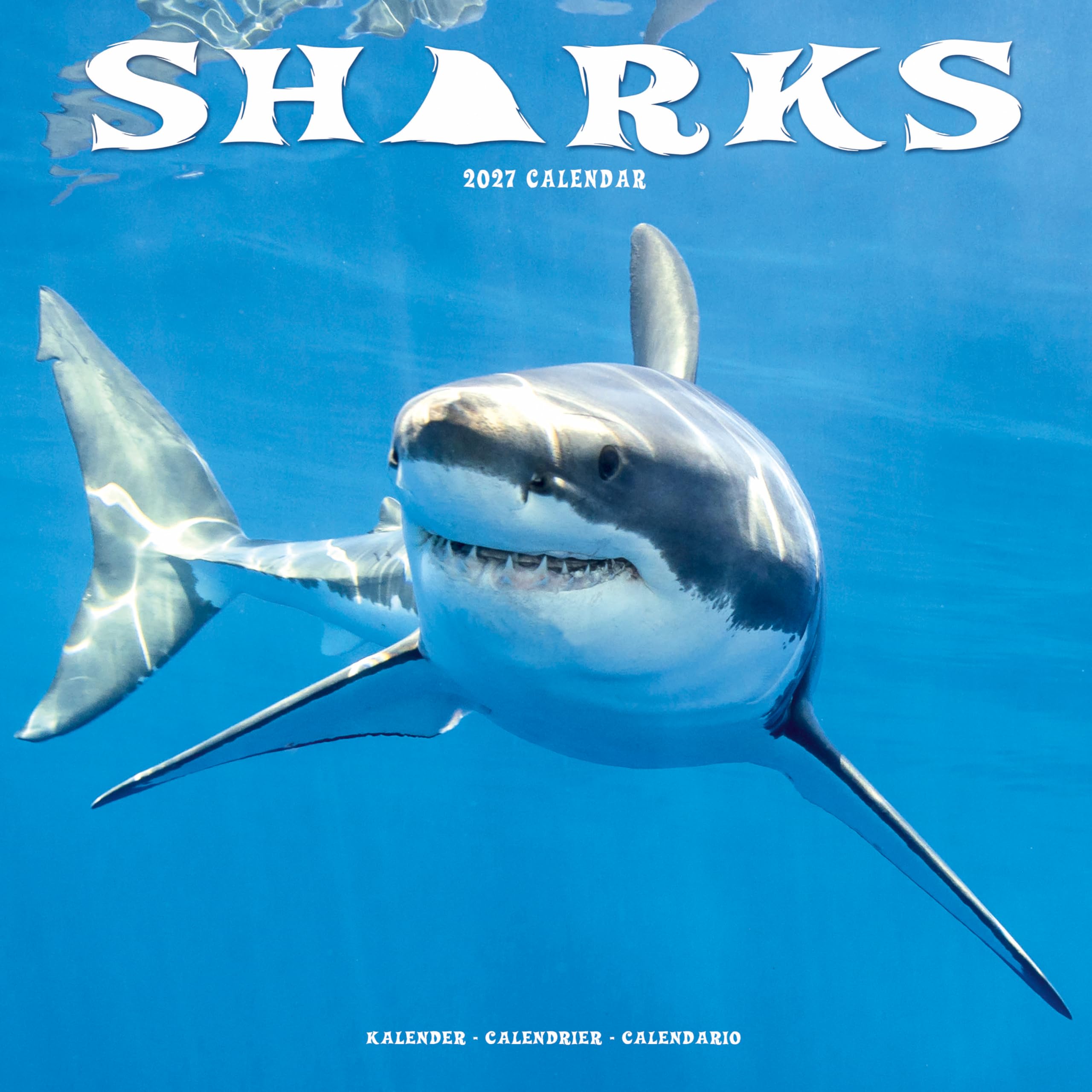 Sharks Calendar 2027, Wall Calendars, Month To View, Animals, Gift