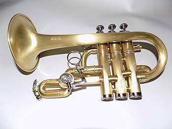 Amazon | Jinbao Bb/A ピッコロ トランペット 楽器 ステンレススチール