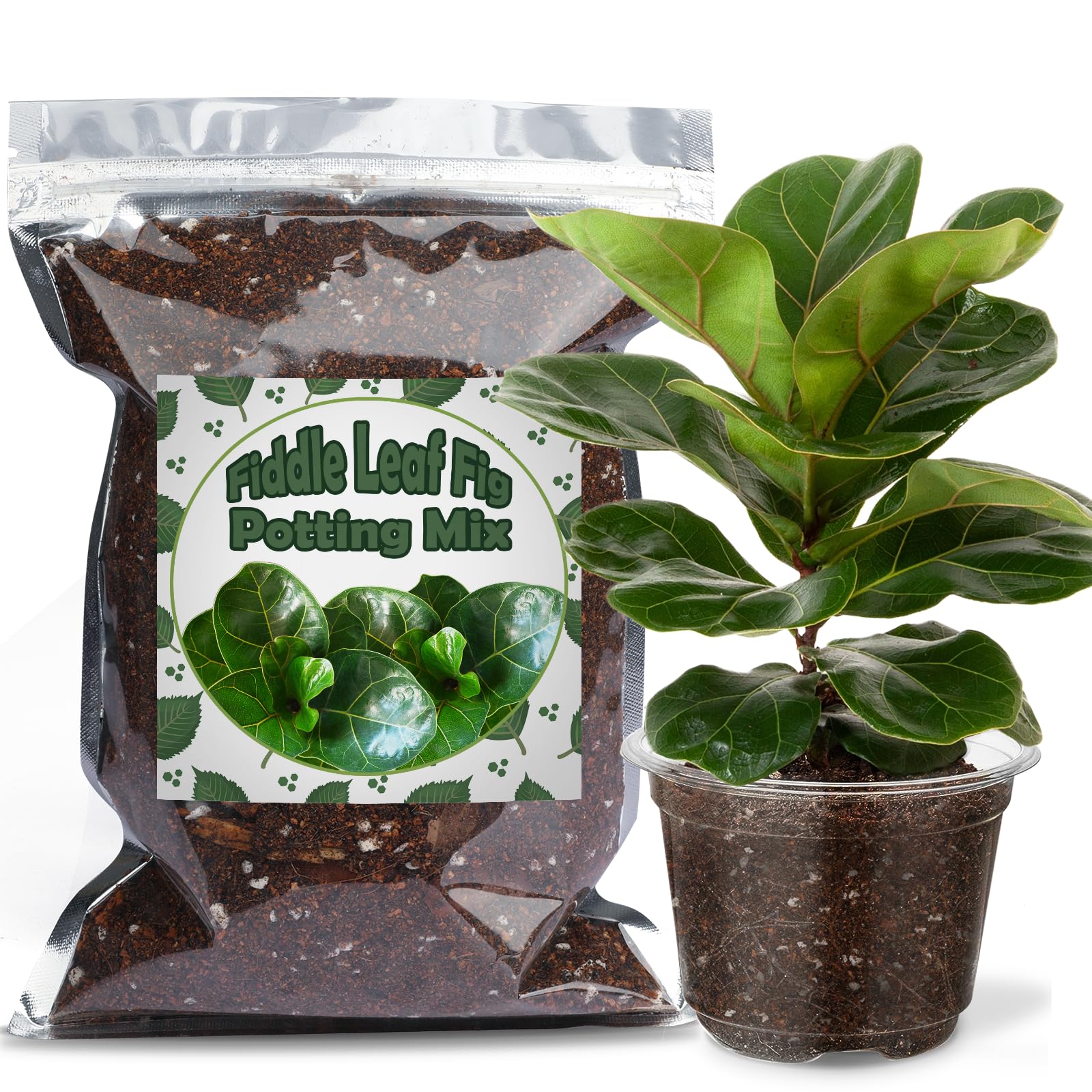Organic Fiddle Leaf Fig Potting Mix 2qt, Indoor Plants Potting Mix for All Potted Ficus Lyrata Plant, Grow Healthy houseplants Indoors