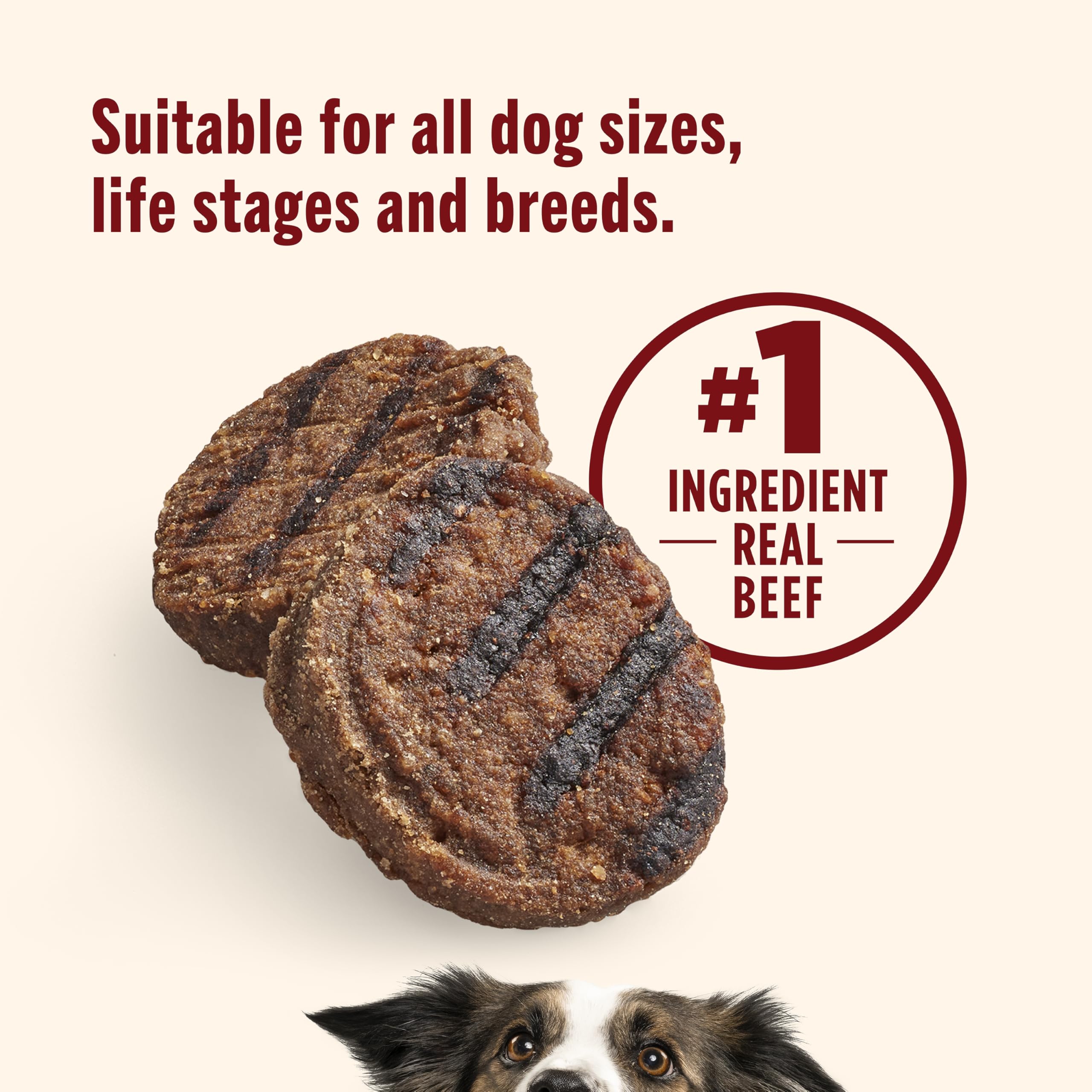 Rachael Ray Nutrish véritable Viande des friandises pour Chiens, 12 oz. Bag, Burger Bites - Beef with Bison Burger Recipe