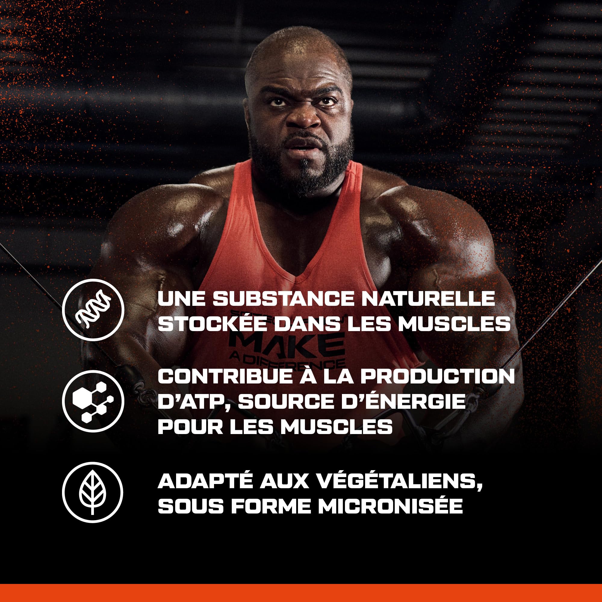 Scitec Nutrition 100% Creatine Monohydrate - Poudre de créatine pure | Créatine pour les performances lors d'efforts courts, intenses, répétés - 3 g par jour - Sans additifs - 500g, non aromatisé