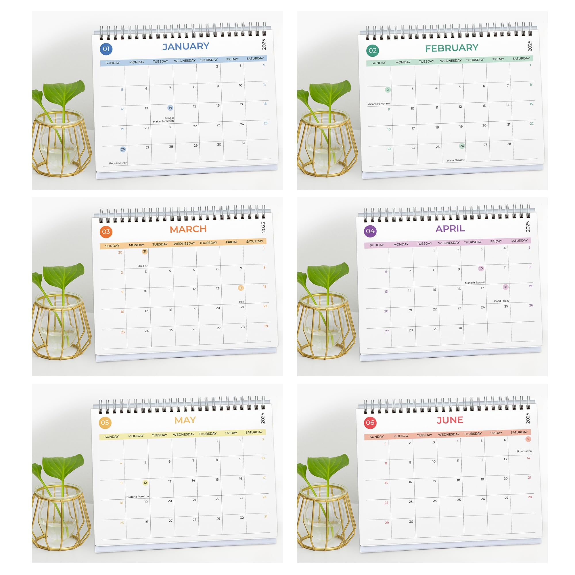 Papboo Ästhetischer Tischkalender 2025, 12 Monate, mit To-Do-Liste, Planer und Aufkleberbogen, inklusive Notizbereich, 220 g/m², weißer Spiralbindung, 15,2 x 20,3 cm (Farbrad)