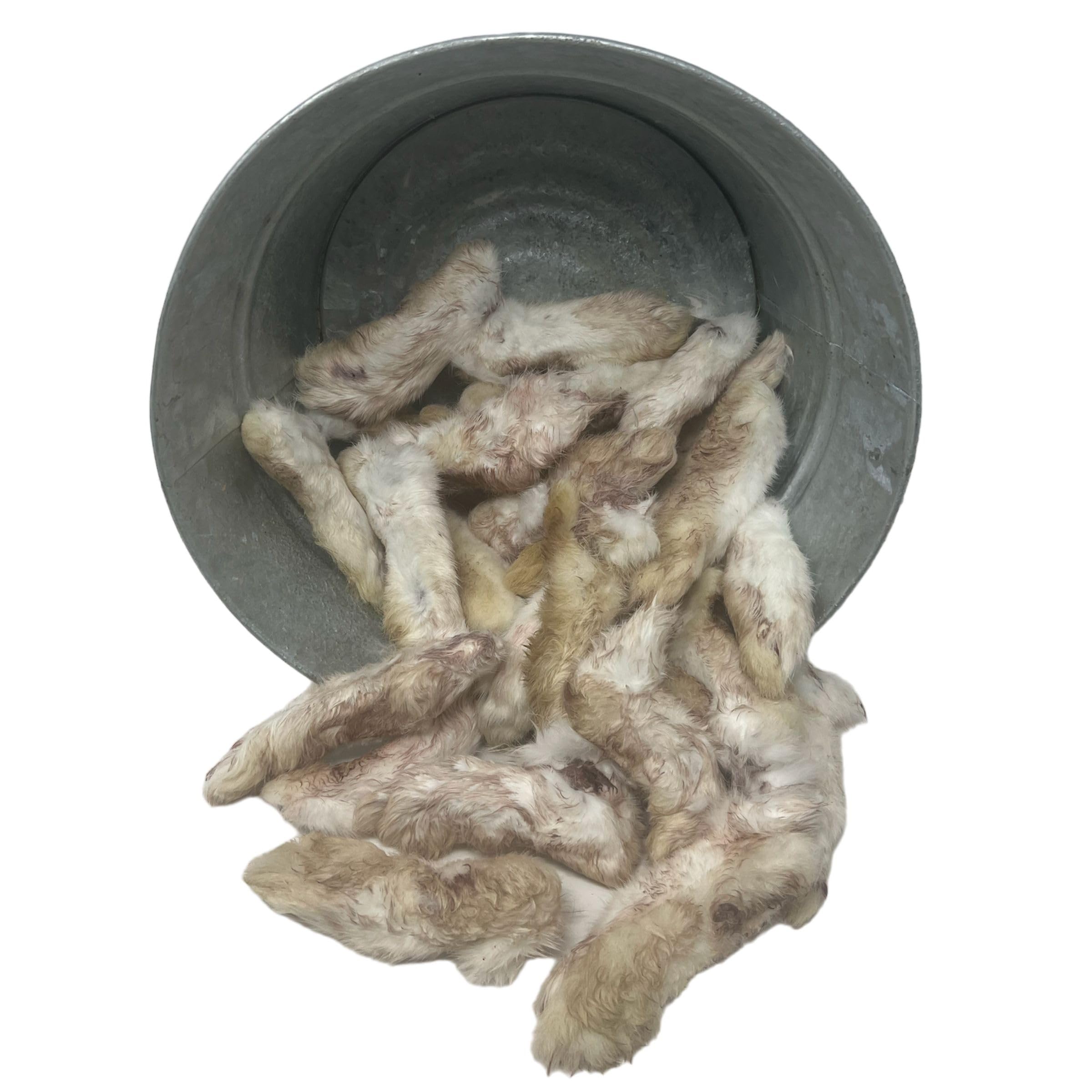 JACK'S PREMIUM Rabbit Feet - Dehydrated Dog & Cat Chews - Whole Back Rabbit Feet with Fur - High Value Single Ingredient Treat (24 Feet)