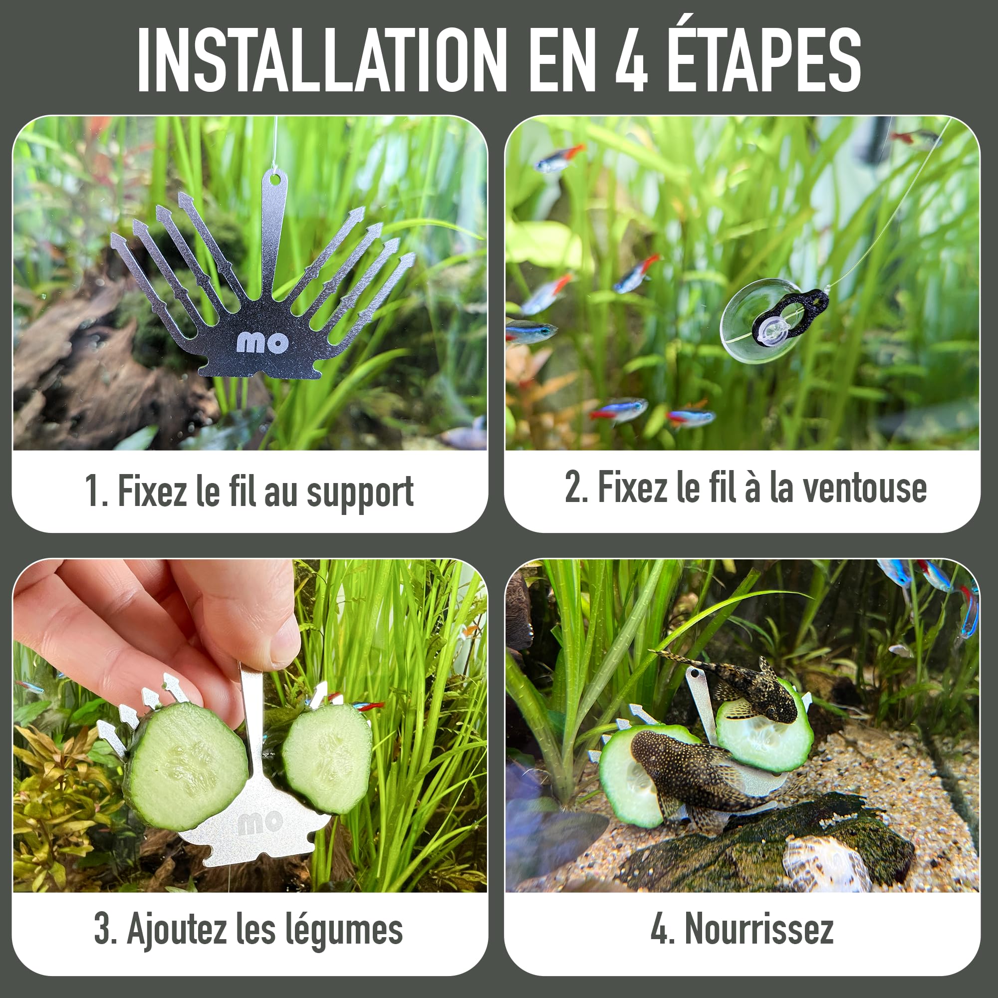 Support Concombre Aquarium INOX – Porte Légumes pour Pleco & Poissons de Fond – Support Nourriture avec Ventouse, Stable, Ne Glisse Pas, Eau Douce & Salée