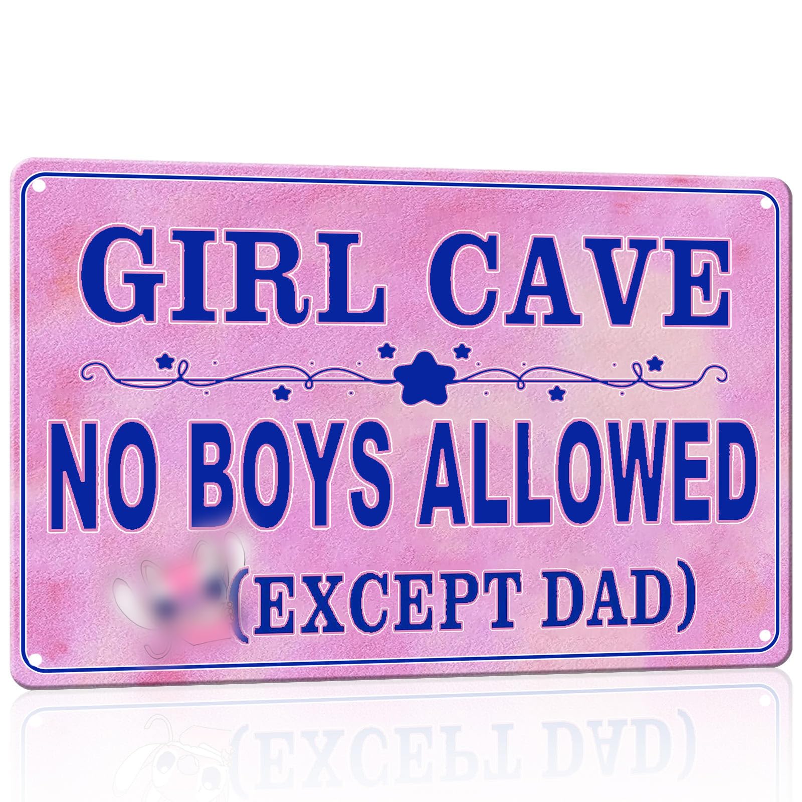 No Boys Allowed Girls Room Tin Sign, 8x12 Inch