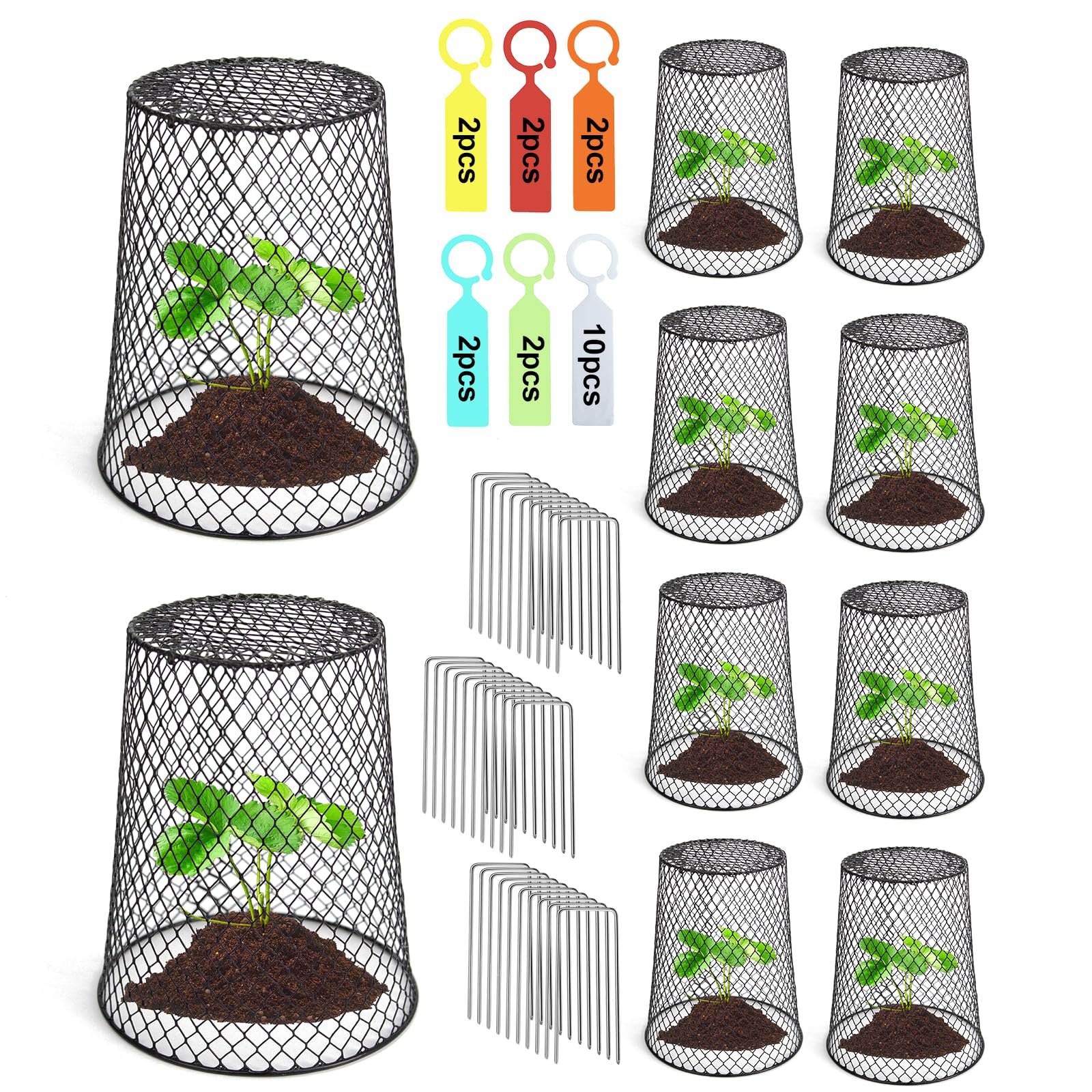 10 Pcs 6.8 Seedling Plant Protectors