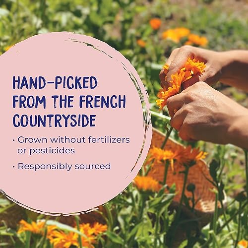 Miniatura 5 de Boiron Gel de caléndula para aliviar erupciones, quemaduras de afeitar, picaduras de insectos o quemaduras solares, no grasa y sin fragancia, 1.5