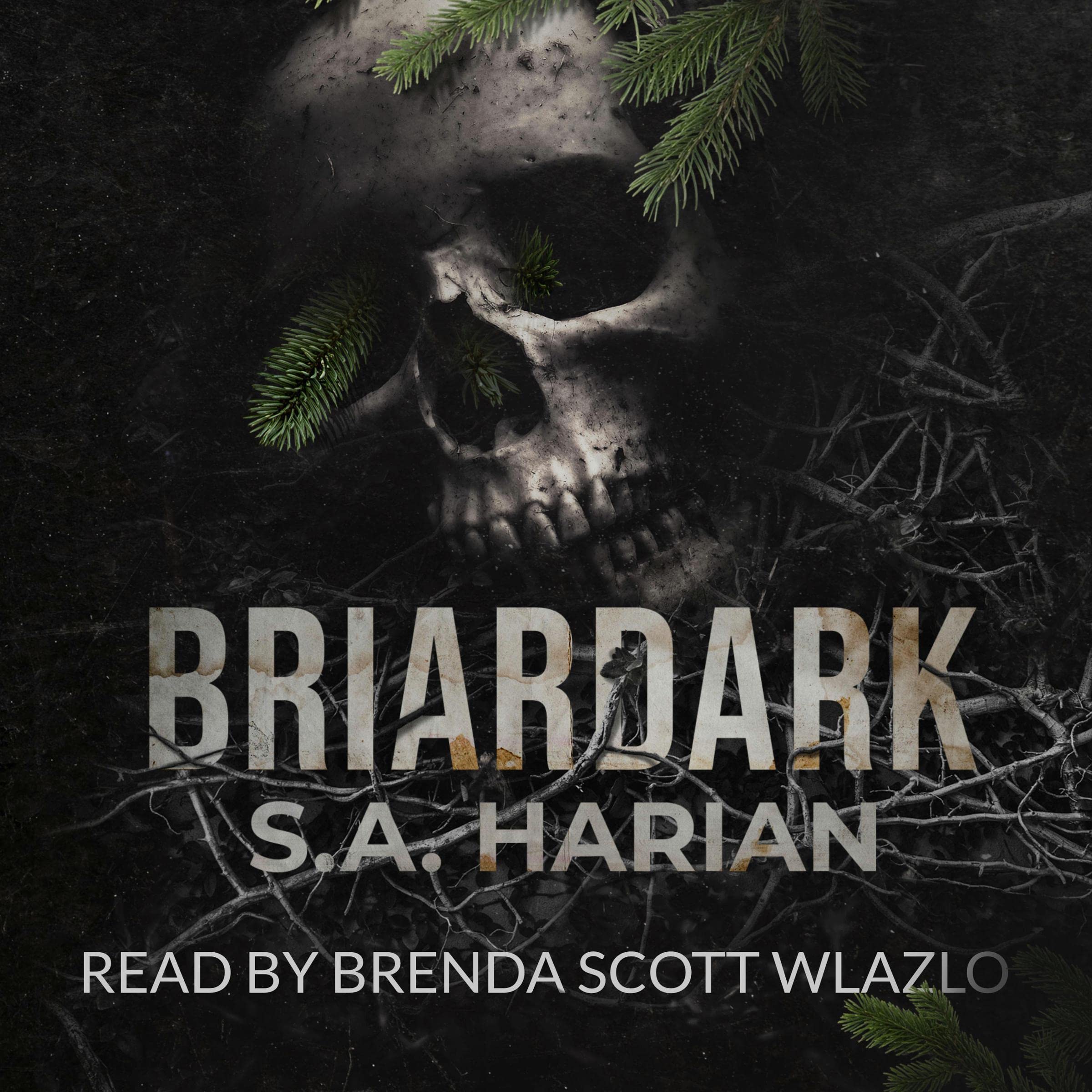 Cover art for Briardark