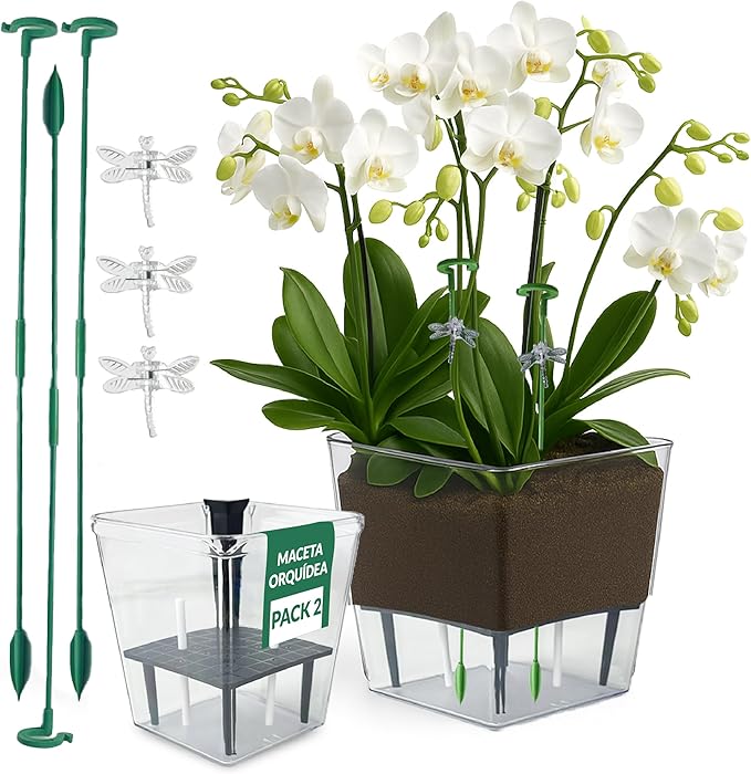 ack de 2 Maceta Orquídea con Sistema Autorriego – Maceta Grande (15x13 cm) y Pequeña (11x6,8 cm) – Macetas Decorativas Interior - Macetero orquídeas Transparente Macetas Plástico