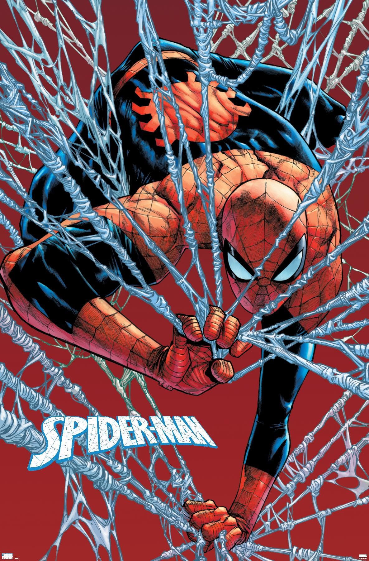 Amazon.co.jp: マーベル スパイダーマン:ピーター・パーカー(コミック
