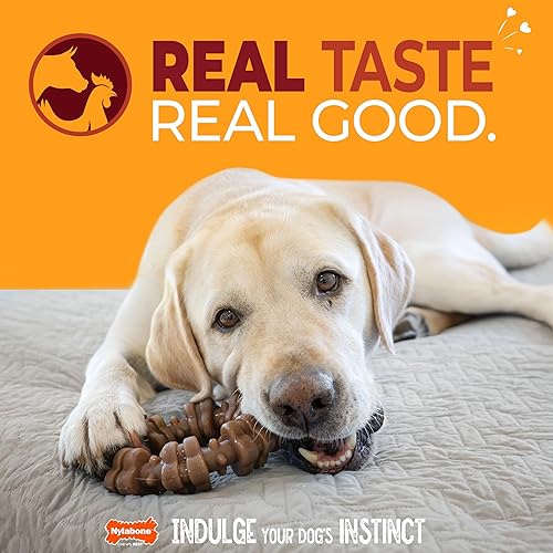 Miniatura 2 de Nylabone Juguete masticable fuerte con anillo texturizado para perros, hecho con carne de res y pollo reales, huesos duraderos para masticadores