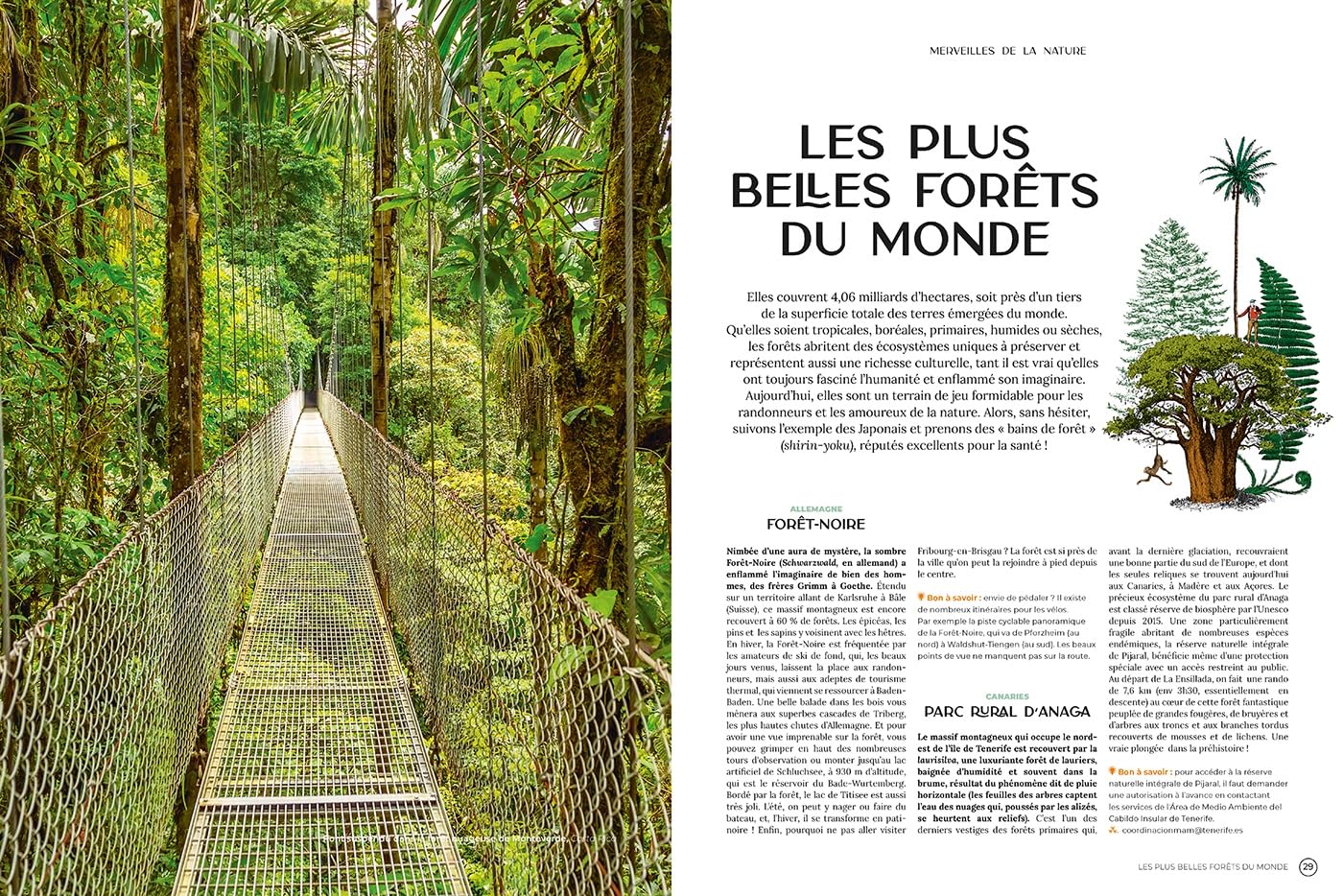 Voyages: Tout un monde à explorer
